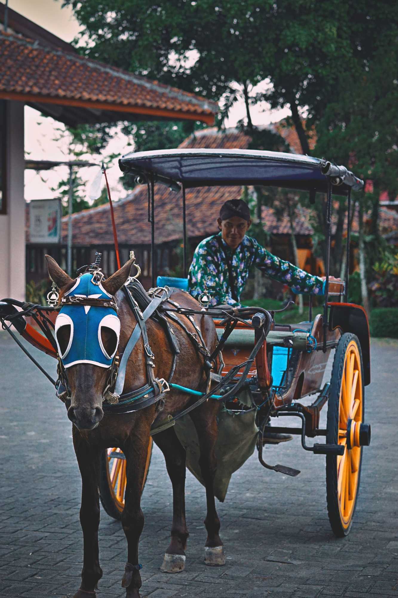 Gift card for Borobudur Bed & Breakfast - Hostel Gift card for Borobudur Bed & Breakfast - Hostel