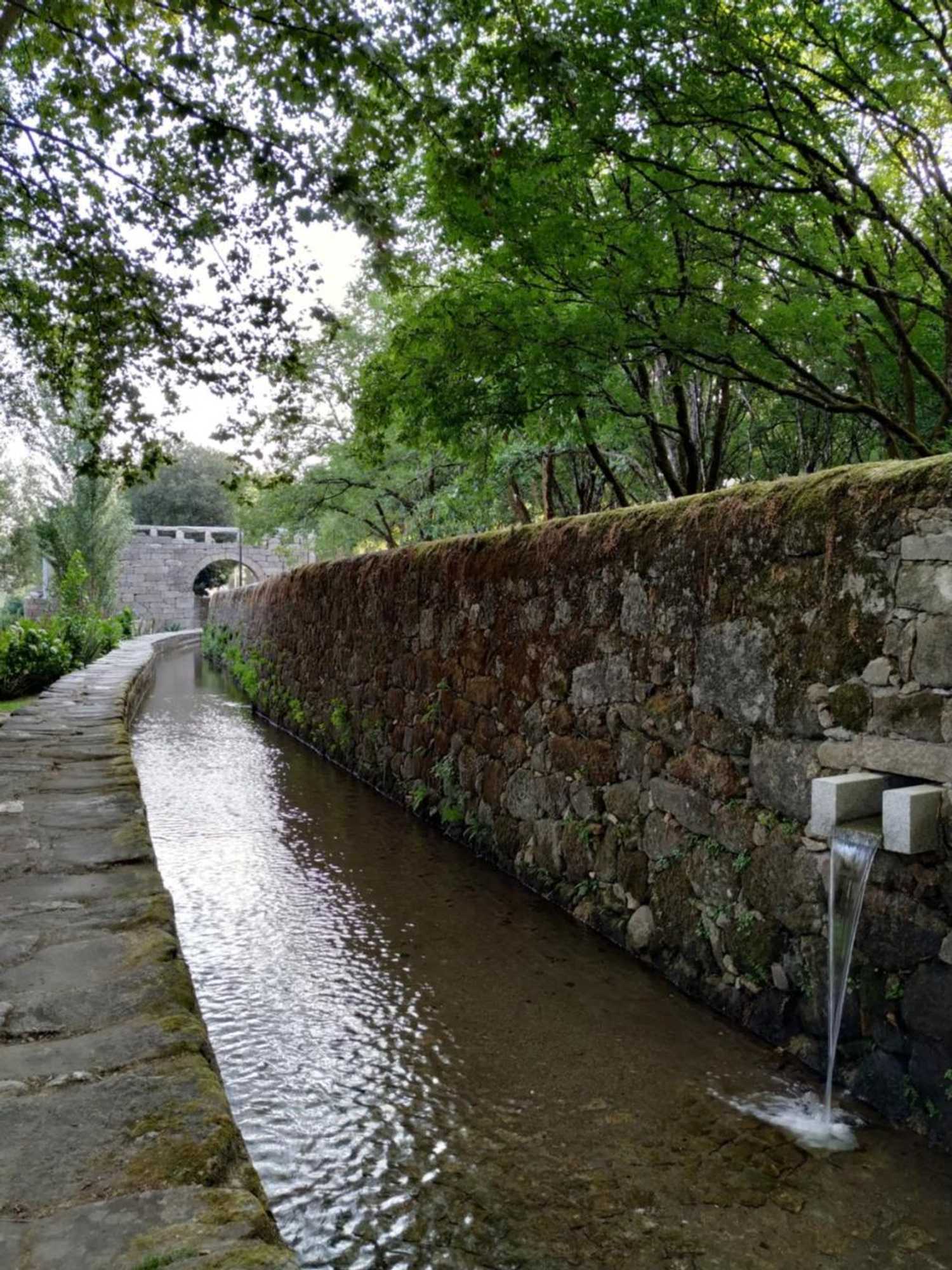 Gift card for Casa Archie