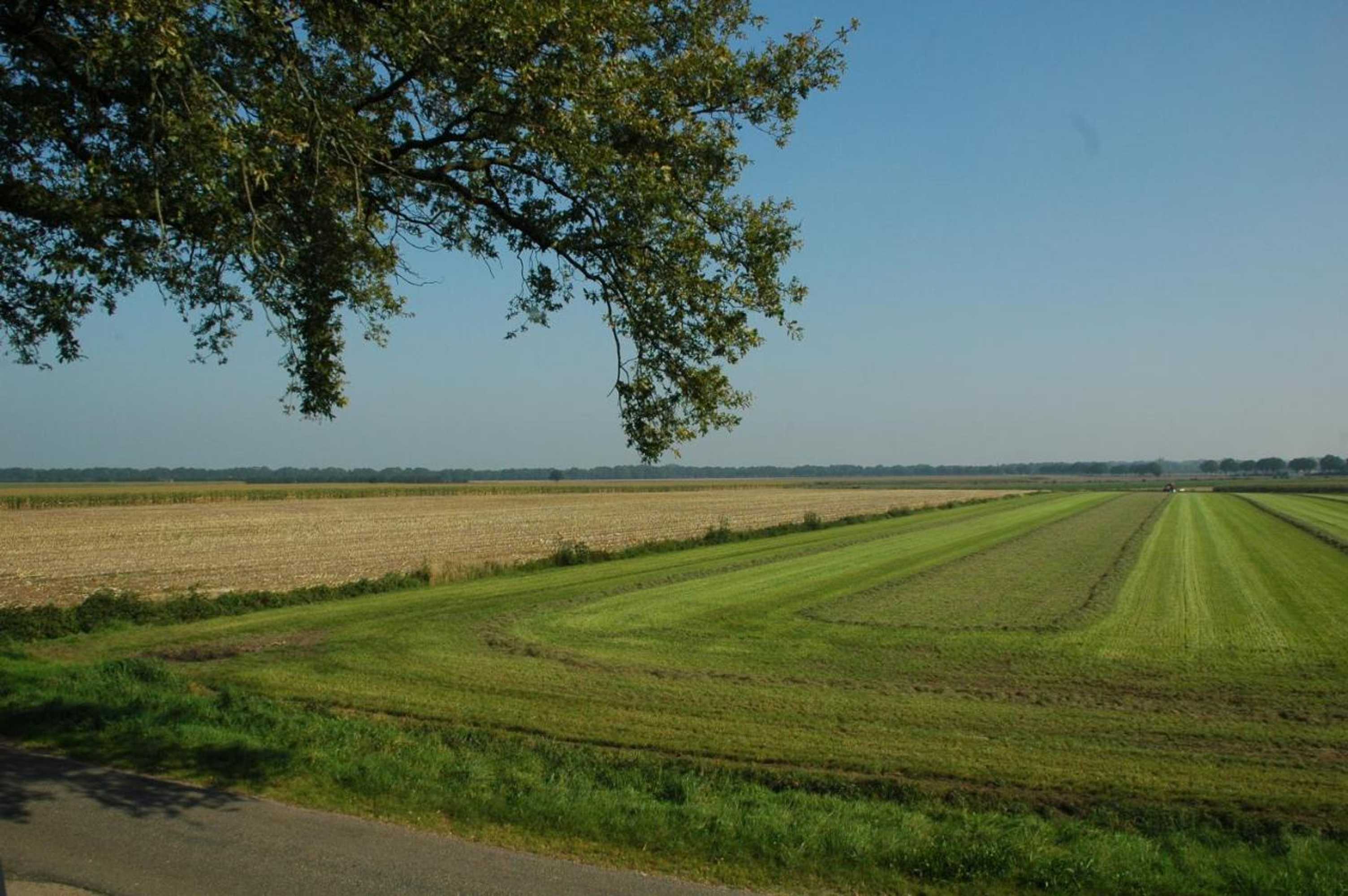 Gift card for Bed & Breakfast Ouwerveldezicht