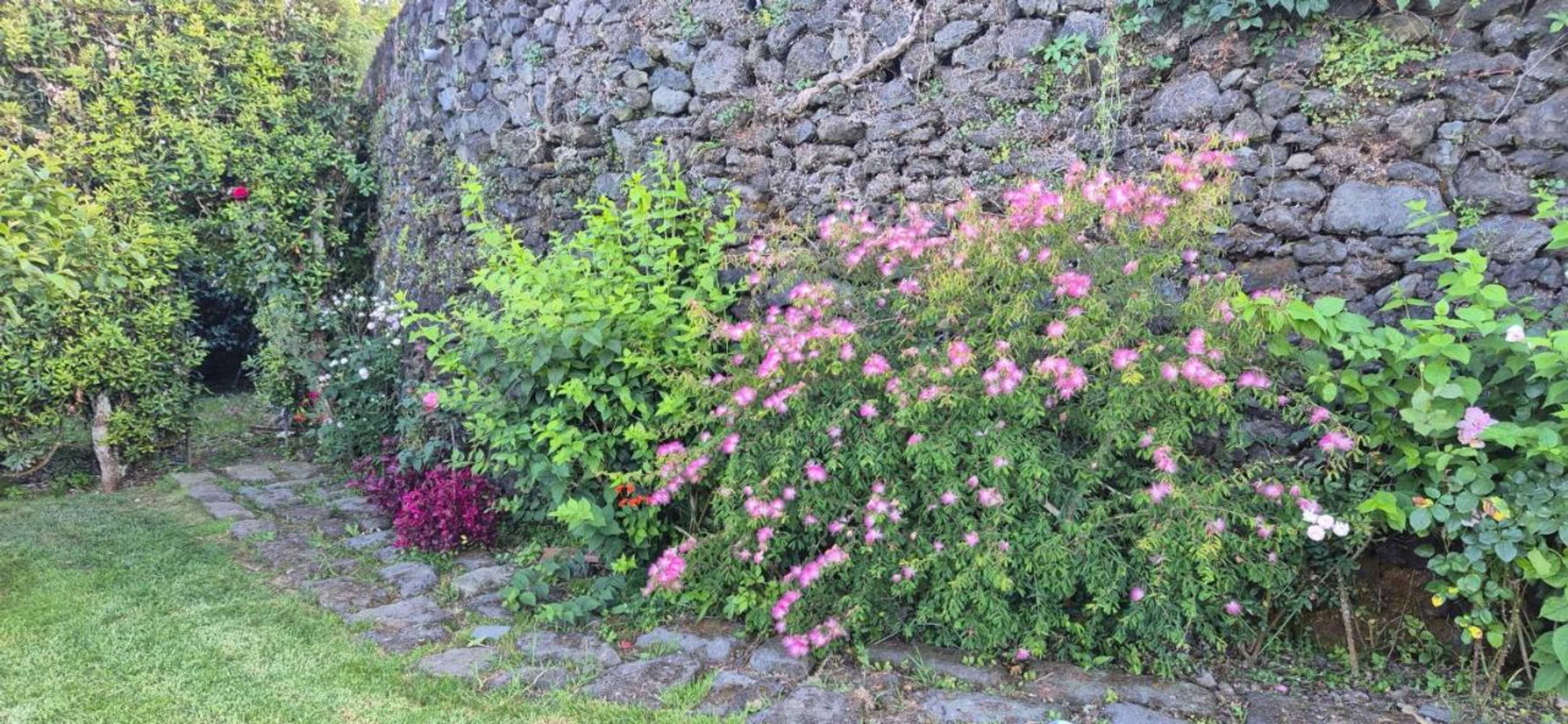 Gift card for Quinta da Tilia Boutique Retreat