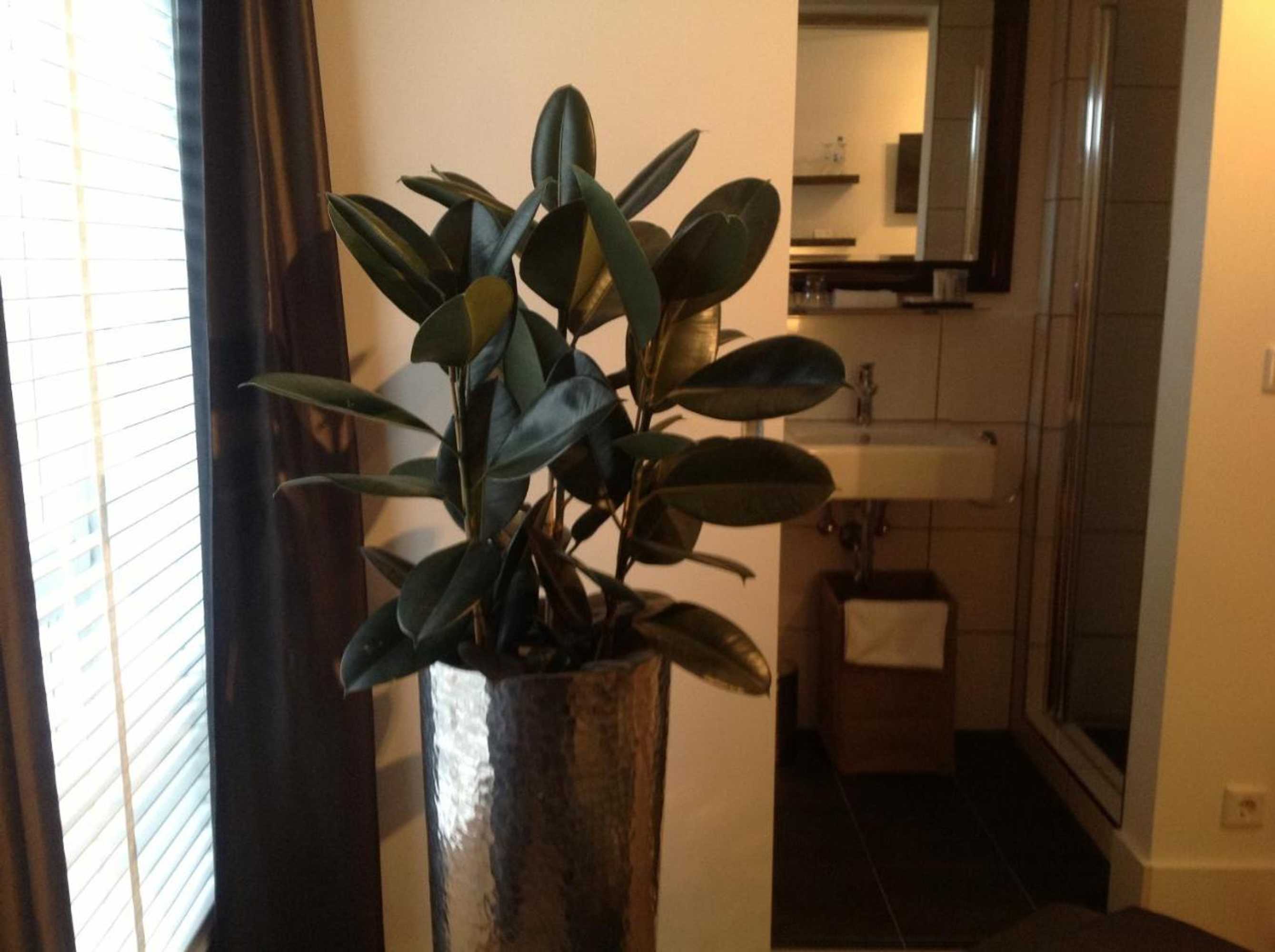 Gift card for Am Meerturm