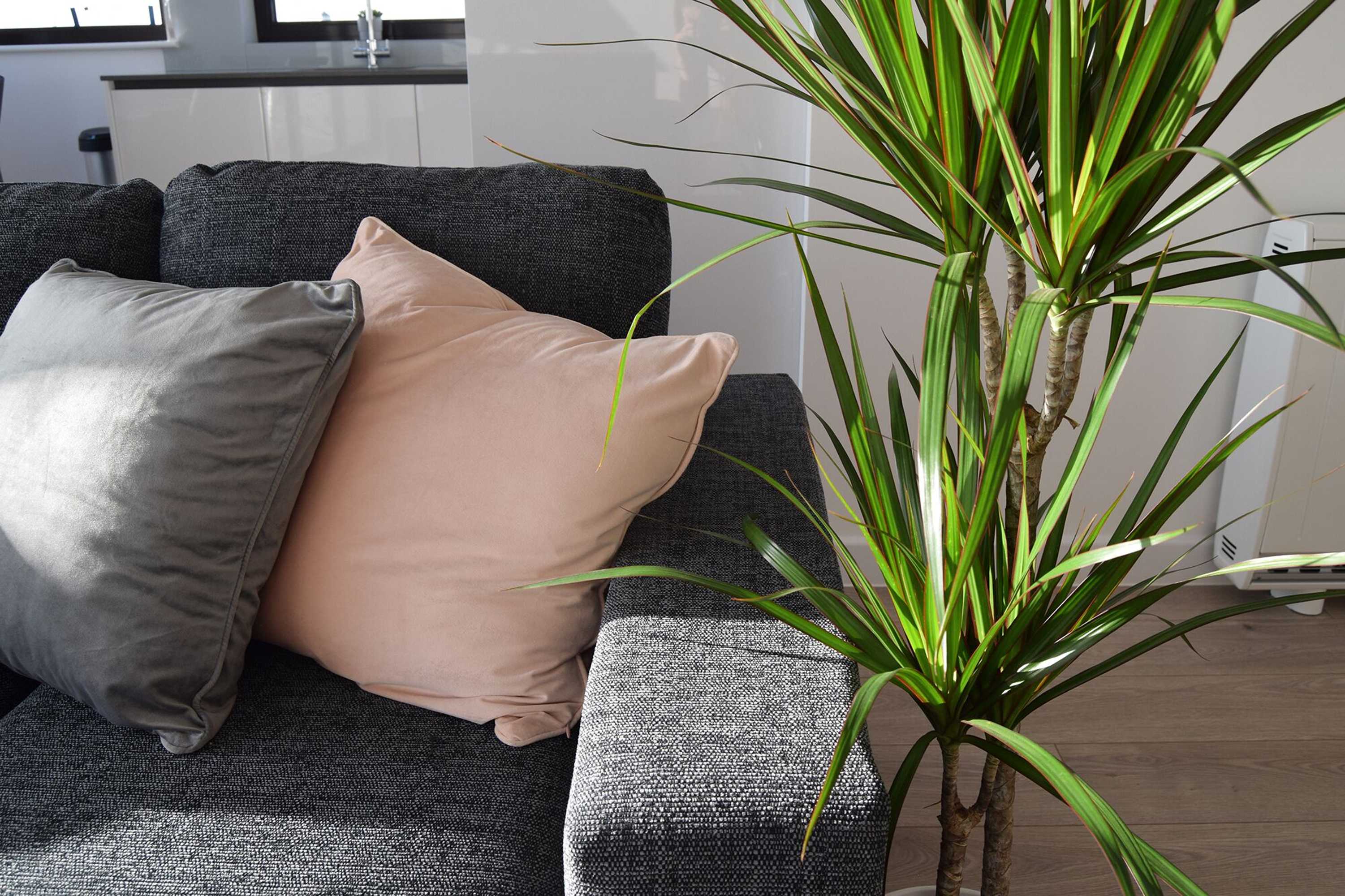 Gift card for Morland Apartments - Romford