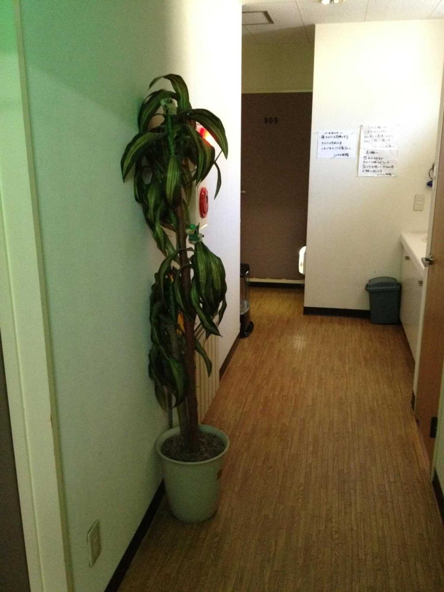 Gift card for Iroha Ryokan