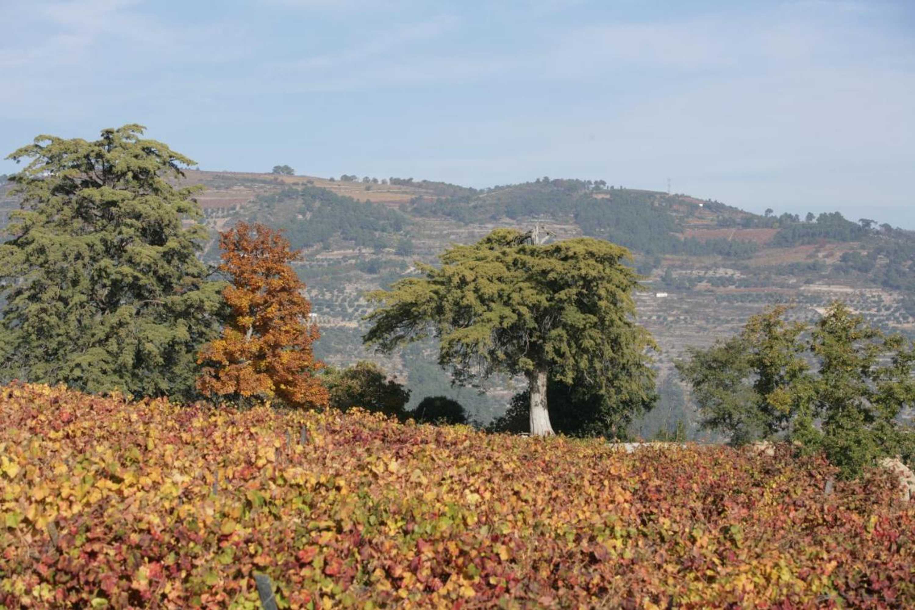 Gift card for Hotel Rural Casa Dos Viscondes da Varzea Gift card for Hotel Rural Casa Dos Viscondes da Varzea