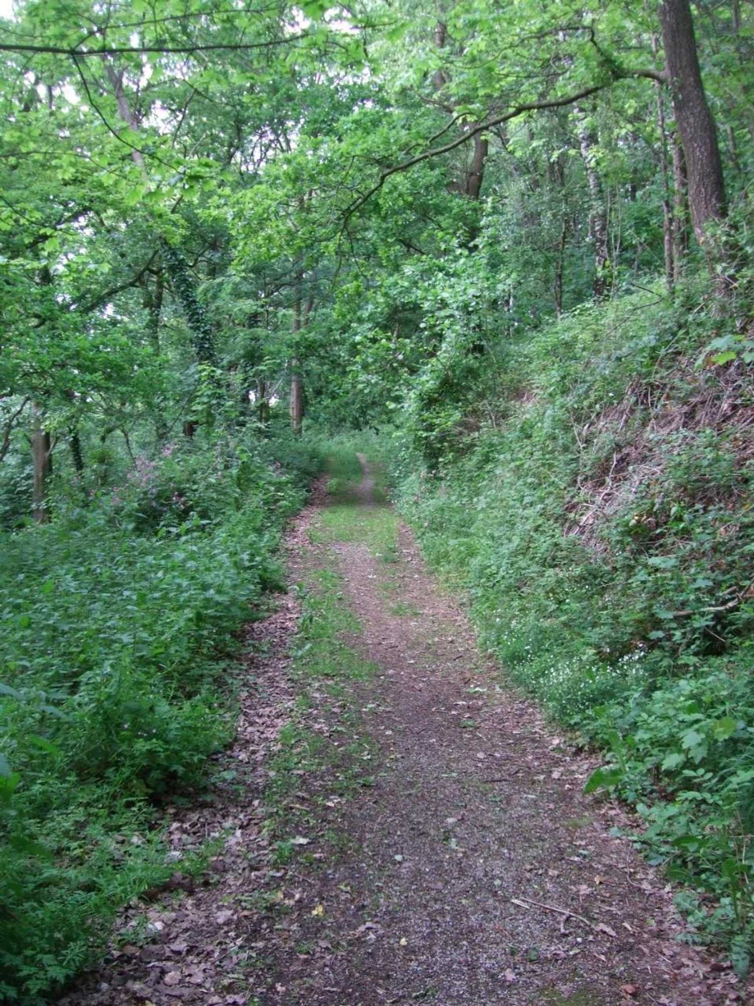 Gift card for Parkhotel Hammerberg