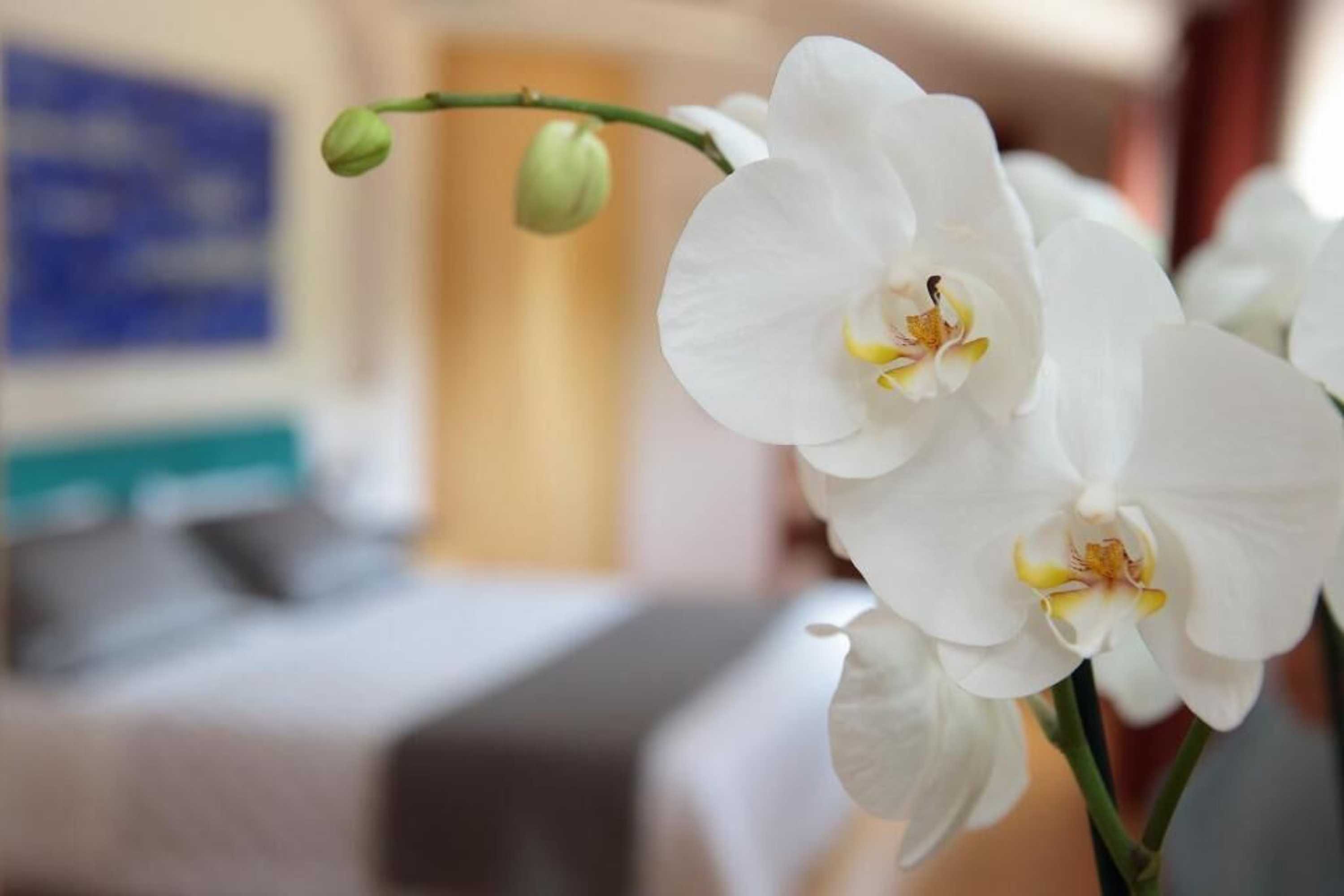 Gift card for Hotel Contà Taste The Experience Gift card for Hotel Contà Taste The Experience