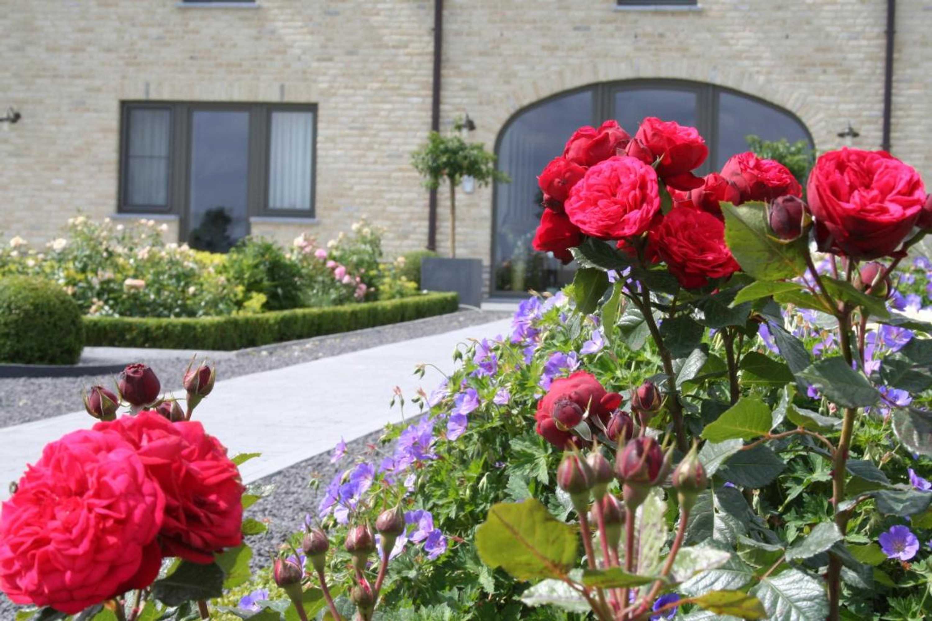 Gift card for B&b La Vie En Roses