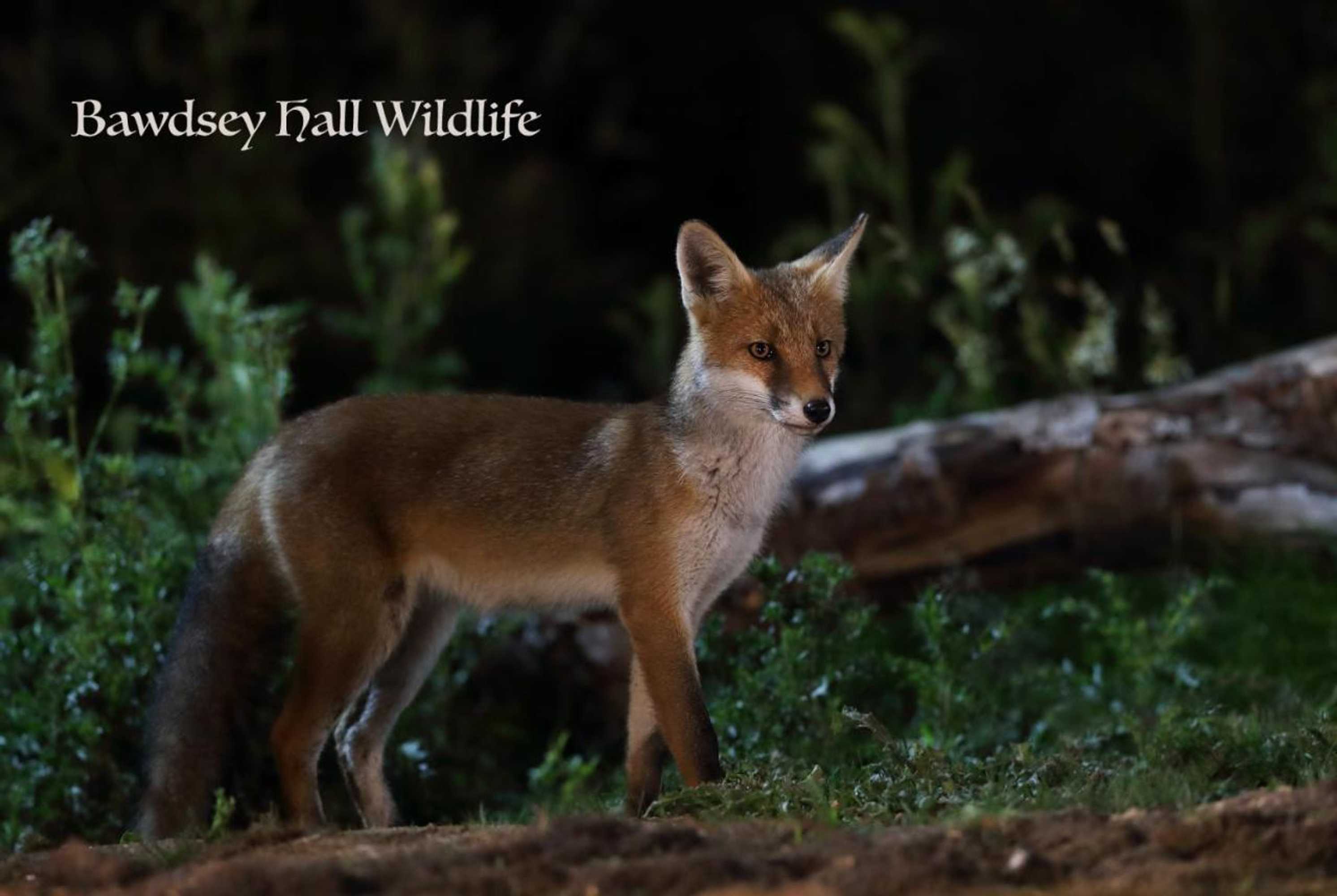 Gift card for Bawdsey Hall