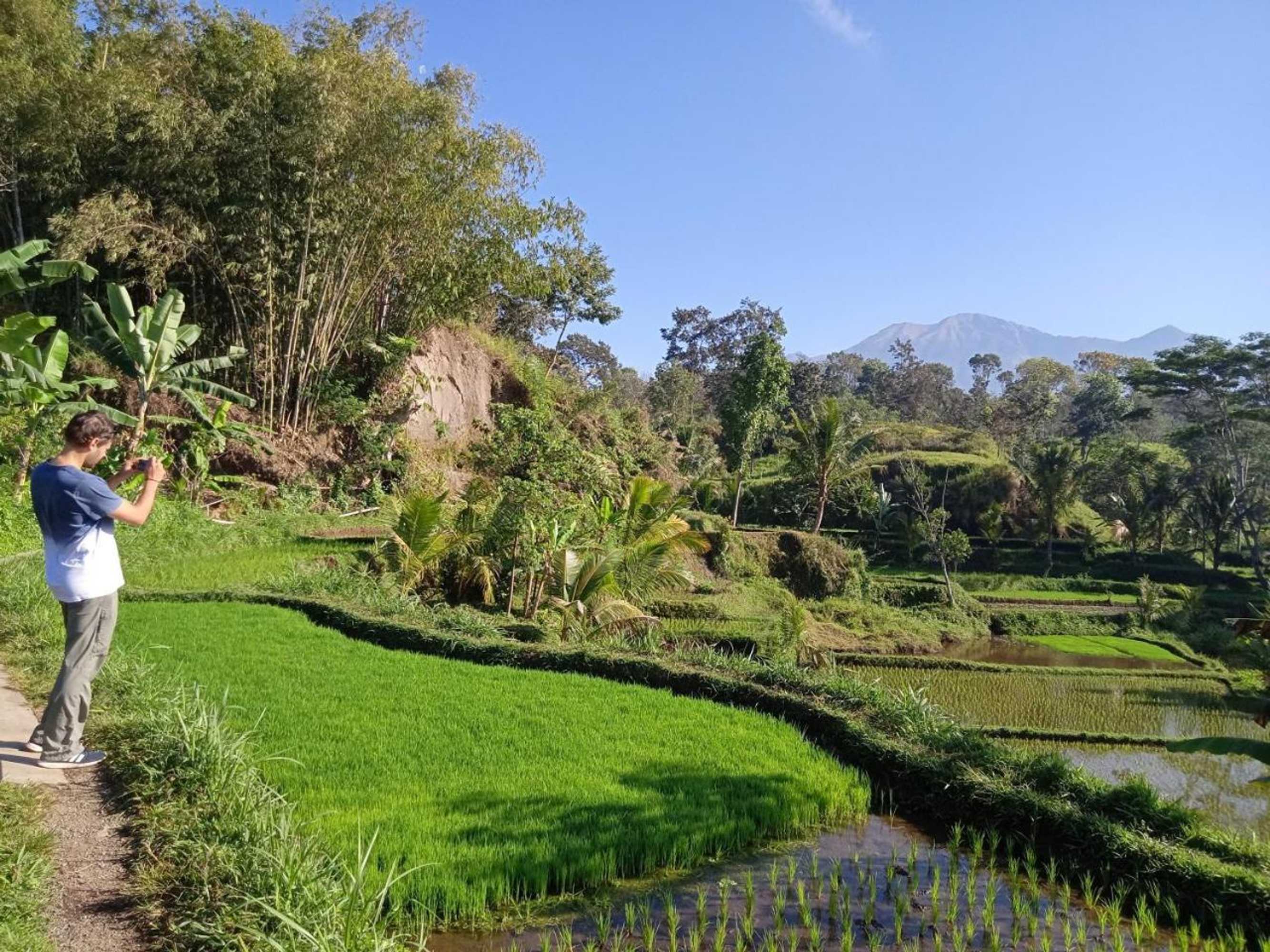 Gift card for Tereng Wilis Jungle Inn