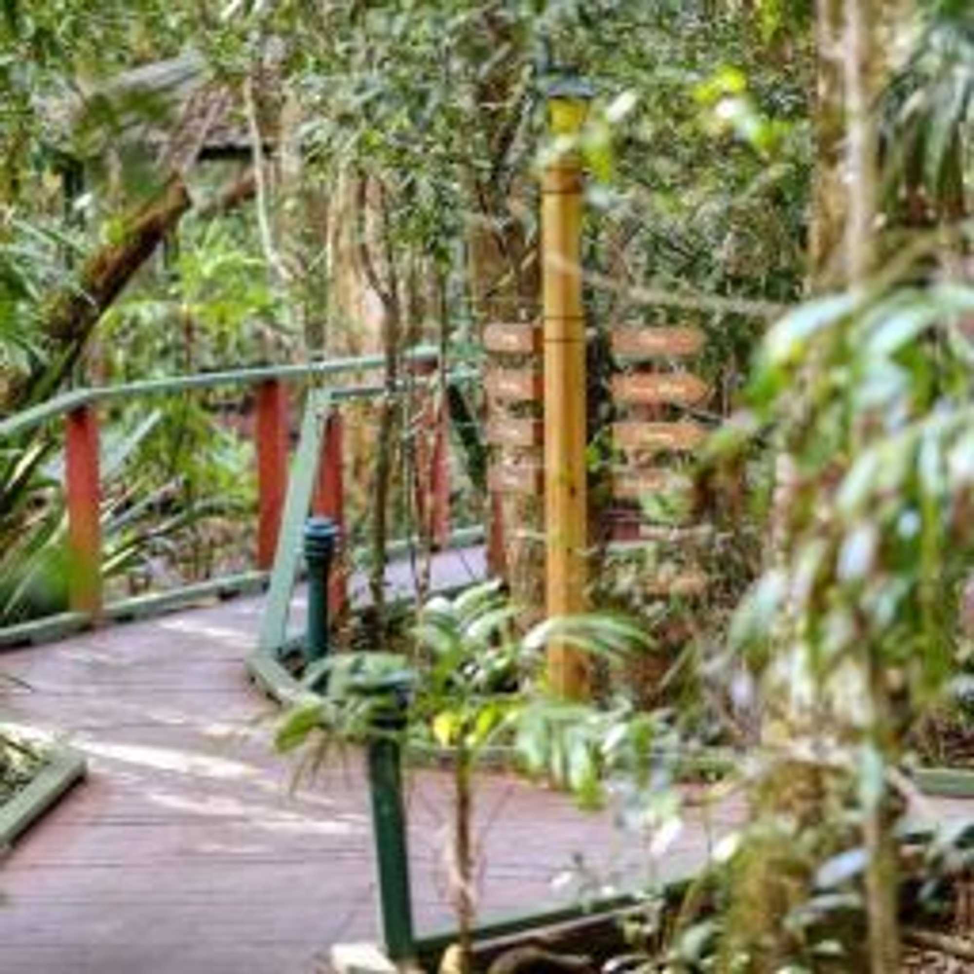 Gift card for The Mouses House Rainforest Retreat Gift card for The Mouses House Rainforest Retreat
