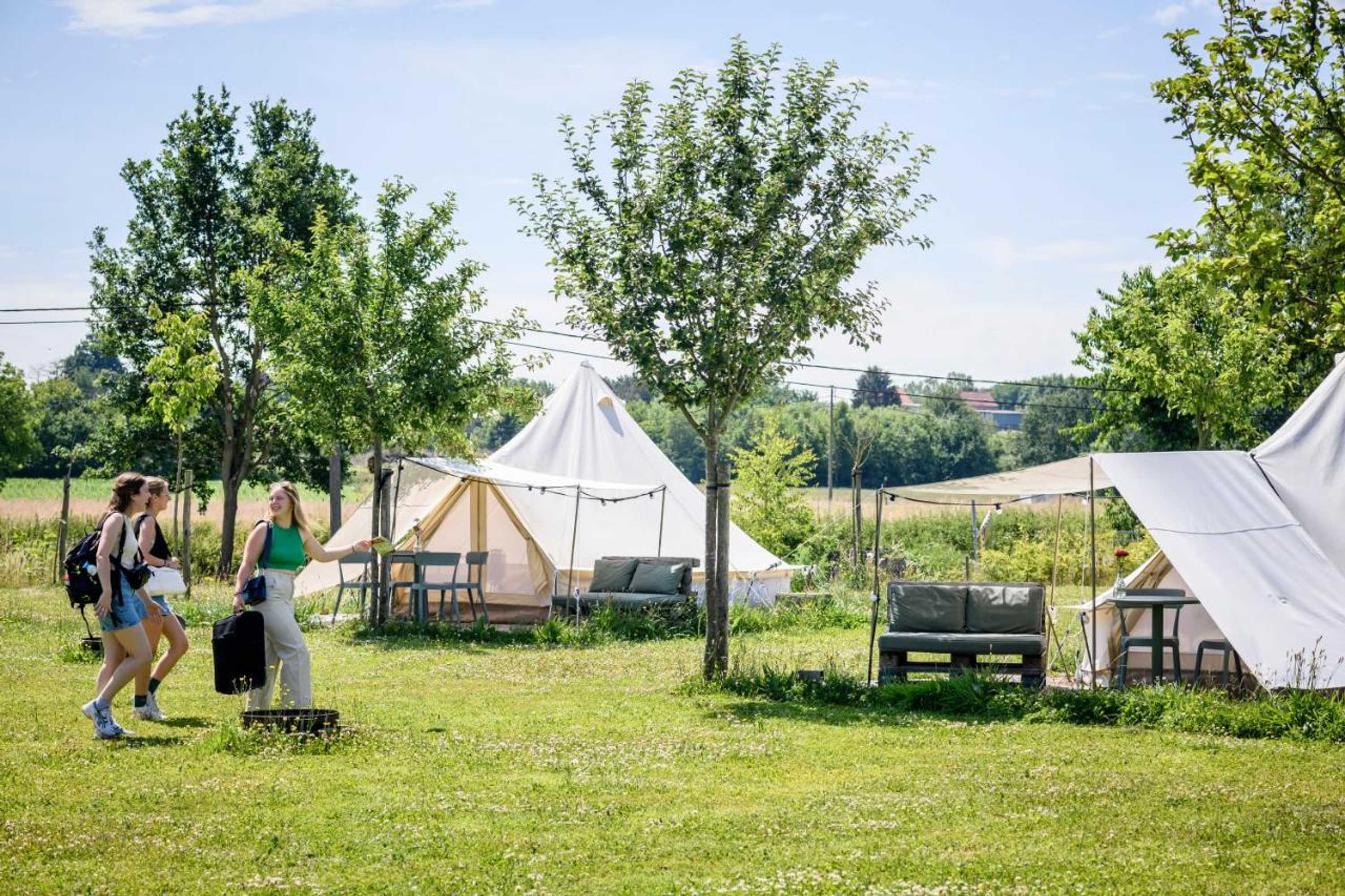 Gift card for Pluimpapaver Hotel & Glamping