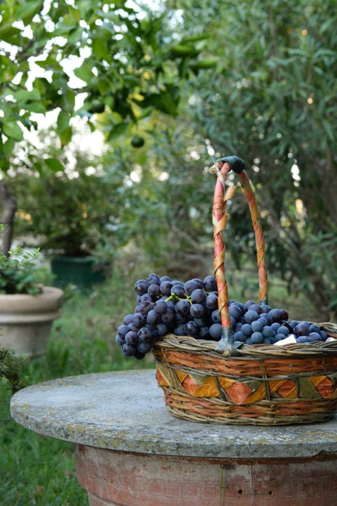 Gift card for Corte di Maggio B&b