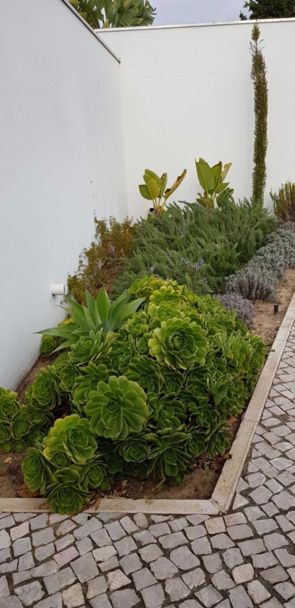 Gift card for Casa do Pai Beach House