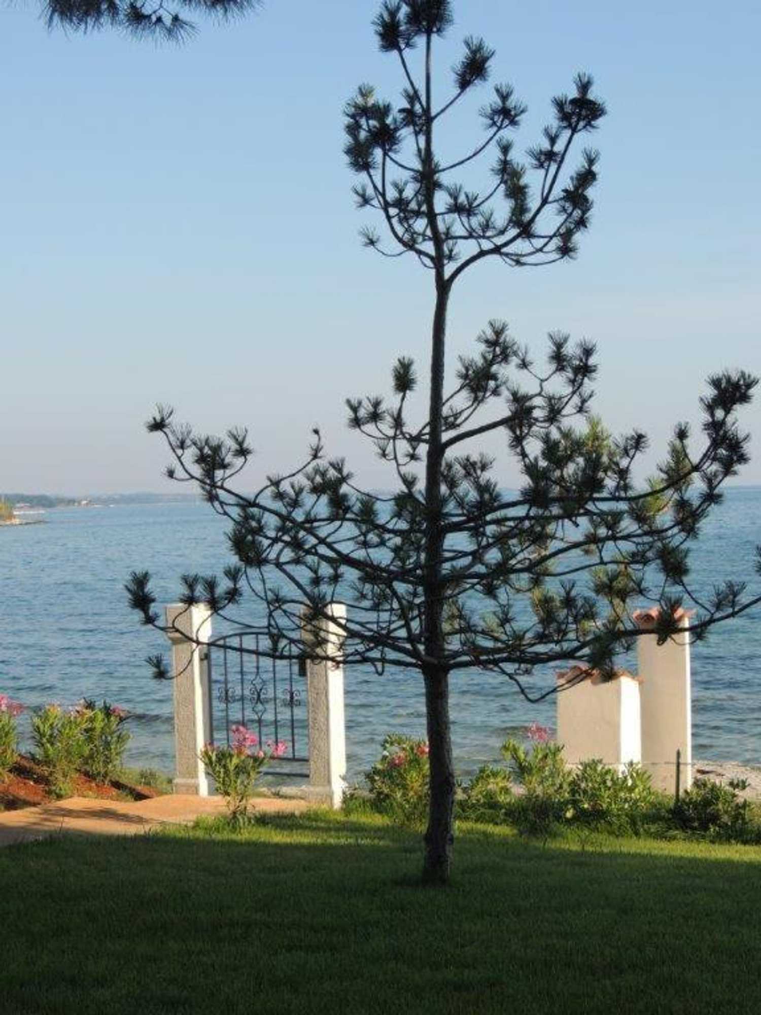 Gift card for Apartments Erica Luxury