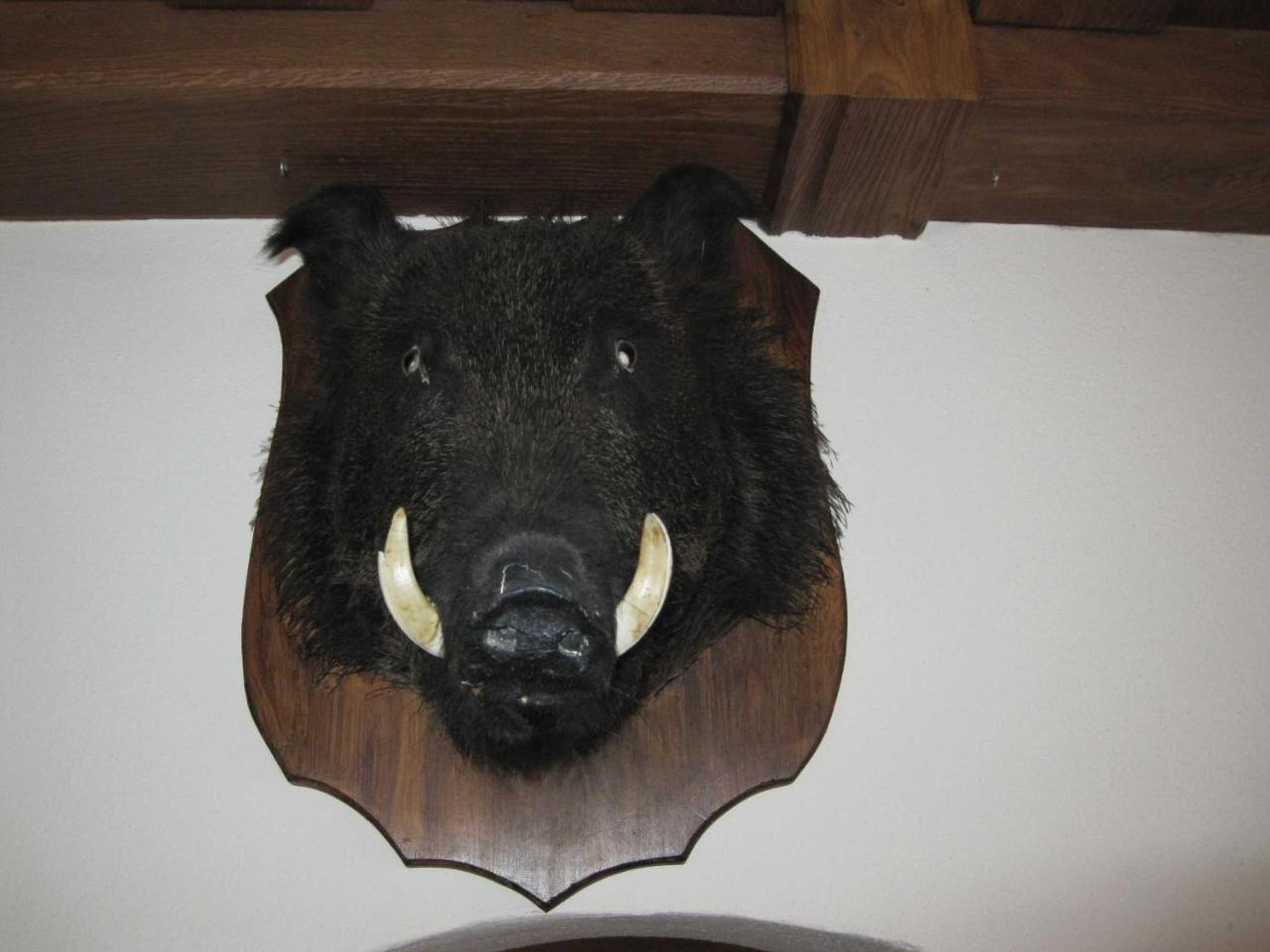 Gift card for Altstadthotel Schloss Schänke Garni