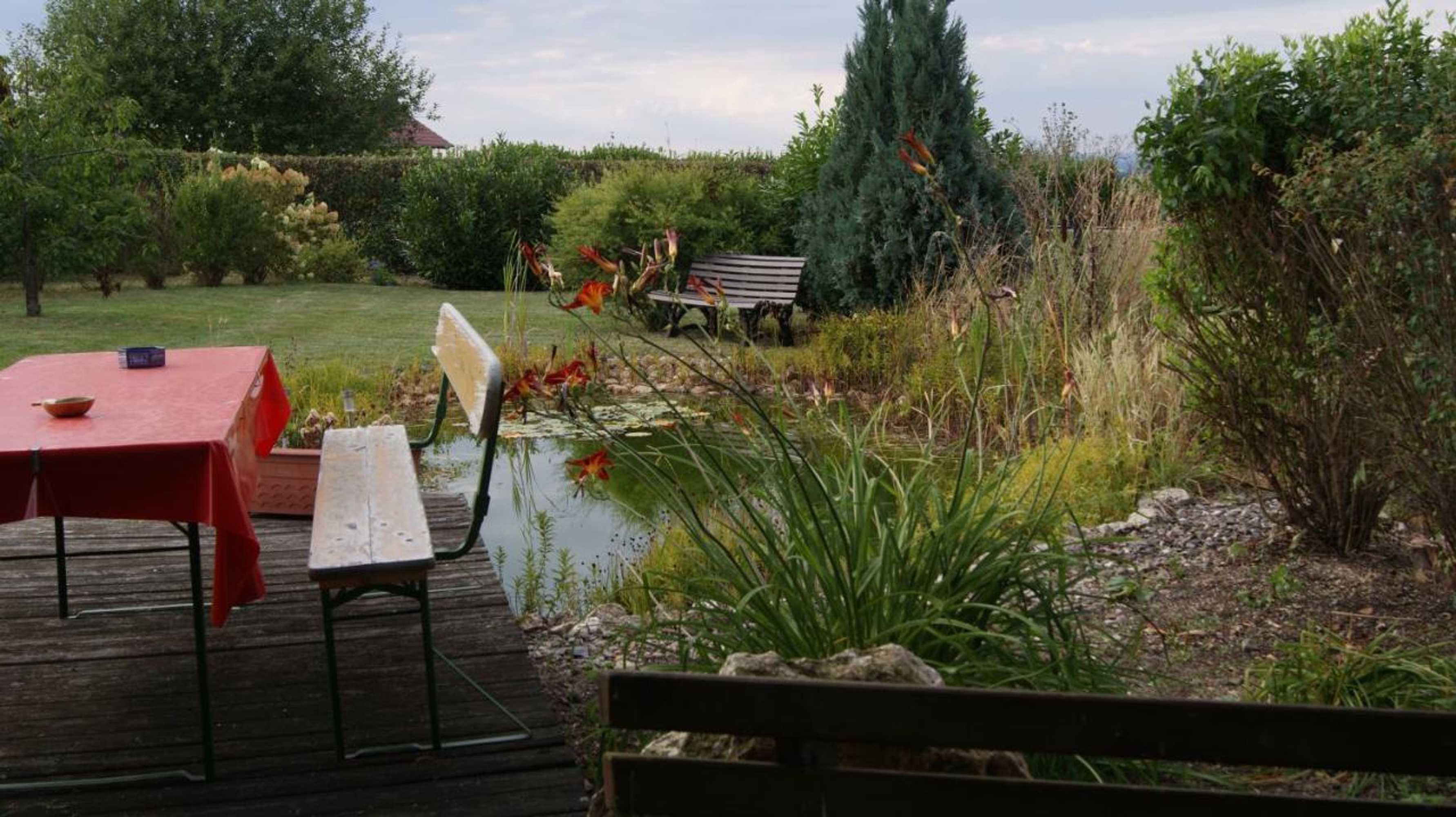 Gift card for Haus Straus