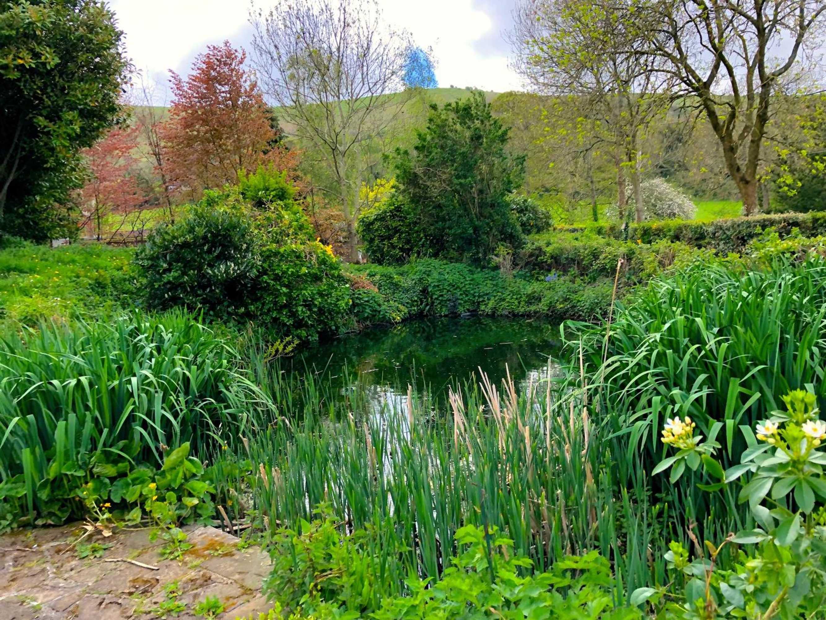 Gift card for Tovey Lodge