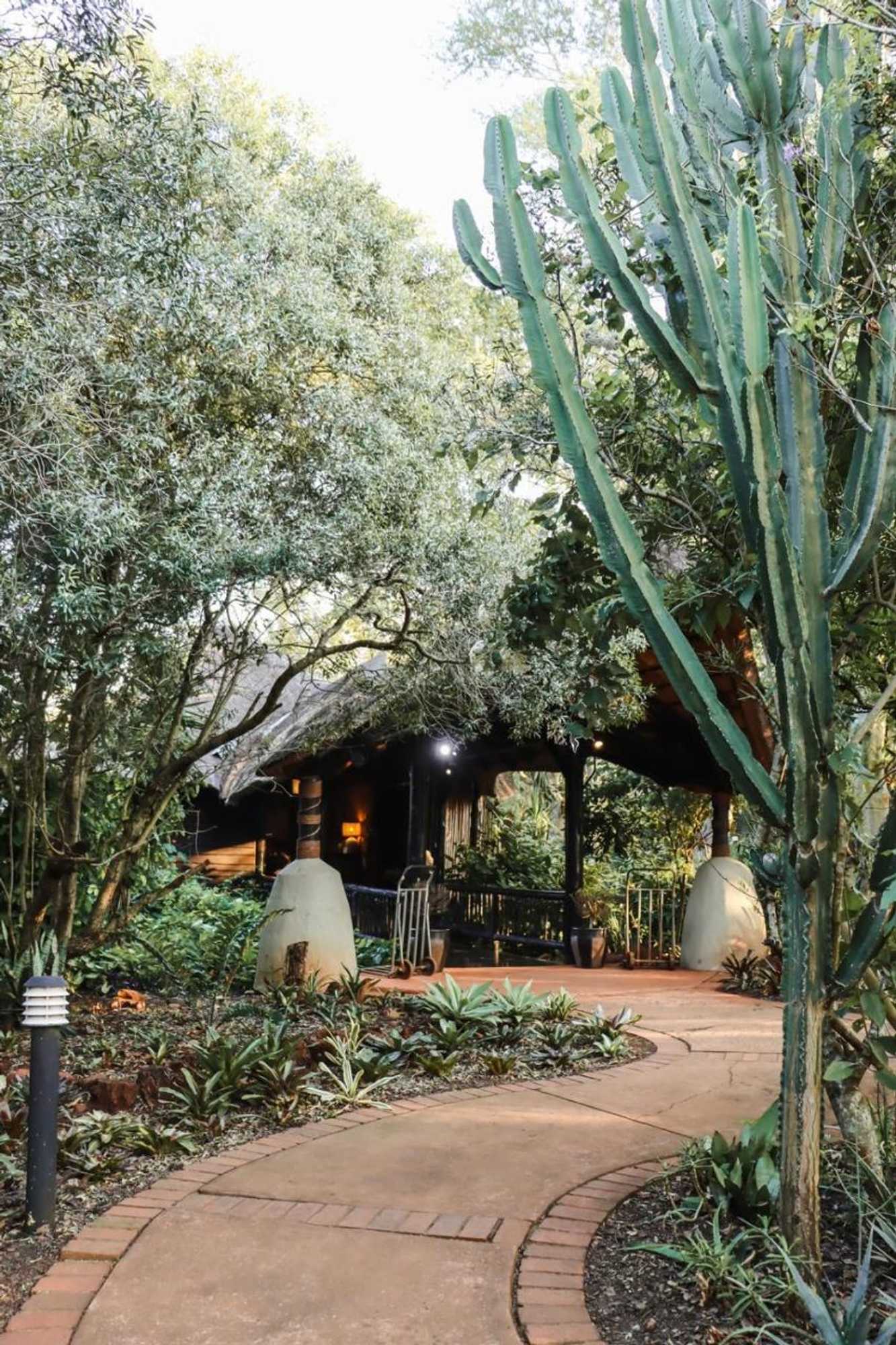 Gift card for Ubizane Zululand Tree Lodge