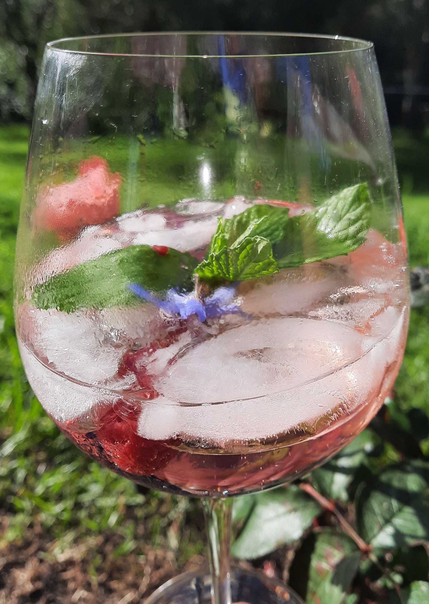 Gift card for Riverside Homestead Waitangi