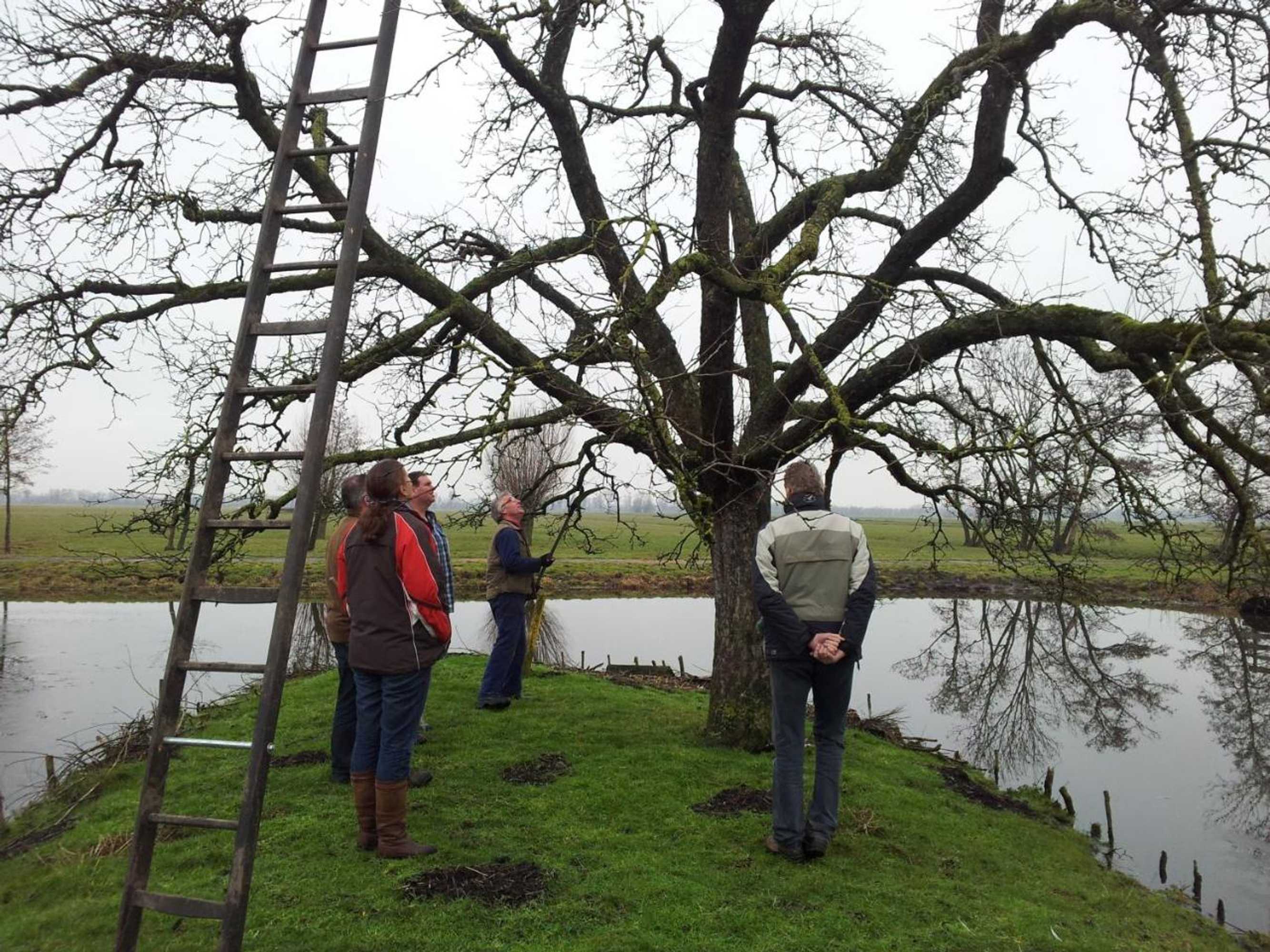 Gift card for De Boomgaard Groene Hart
