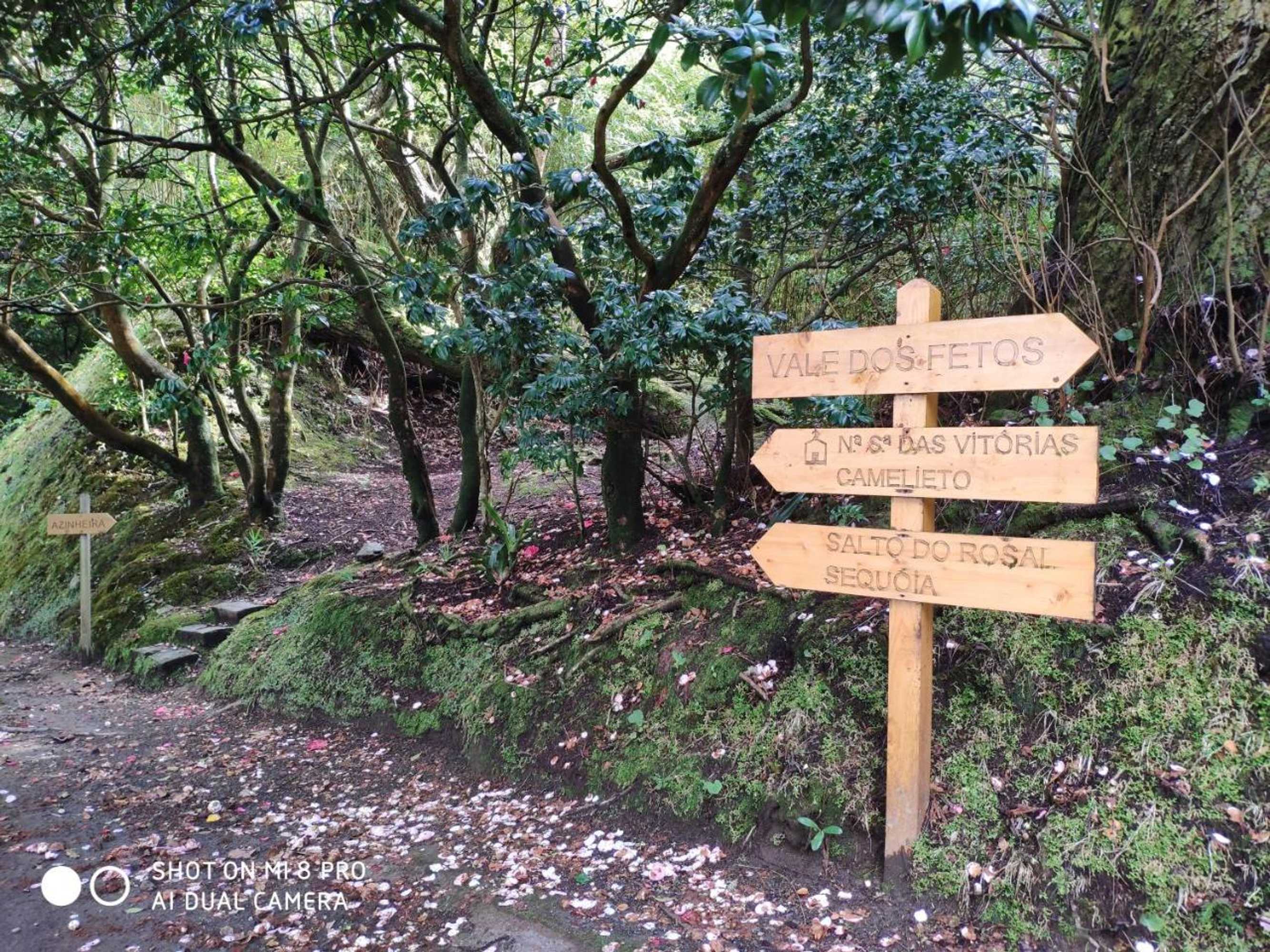 Gift card for Casa da Lagoa