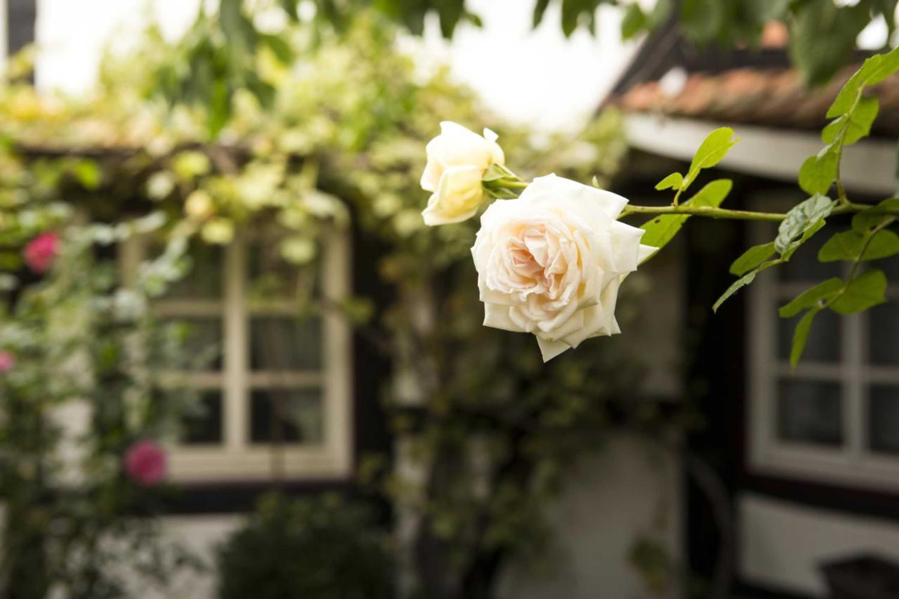 Gift card for Hotel Café am Stift