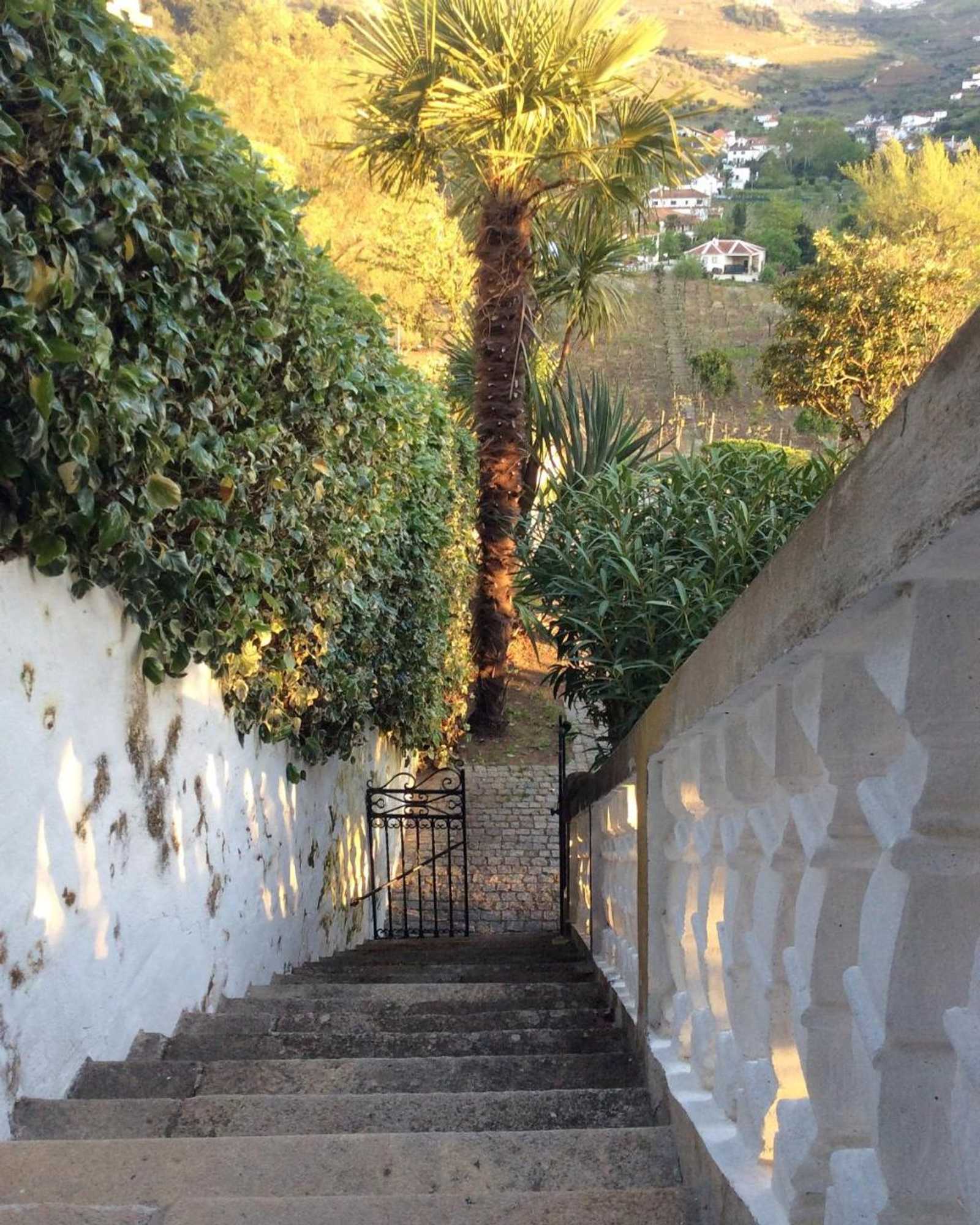 Gift card for Quinta do Fôjo Gift card for Quinta do Fôjo