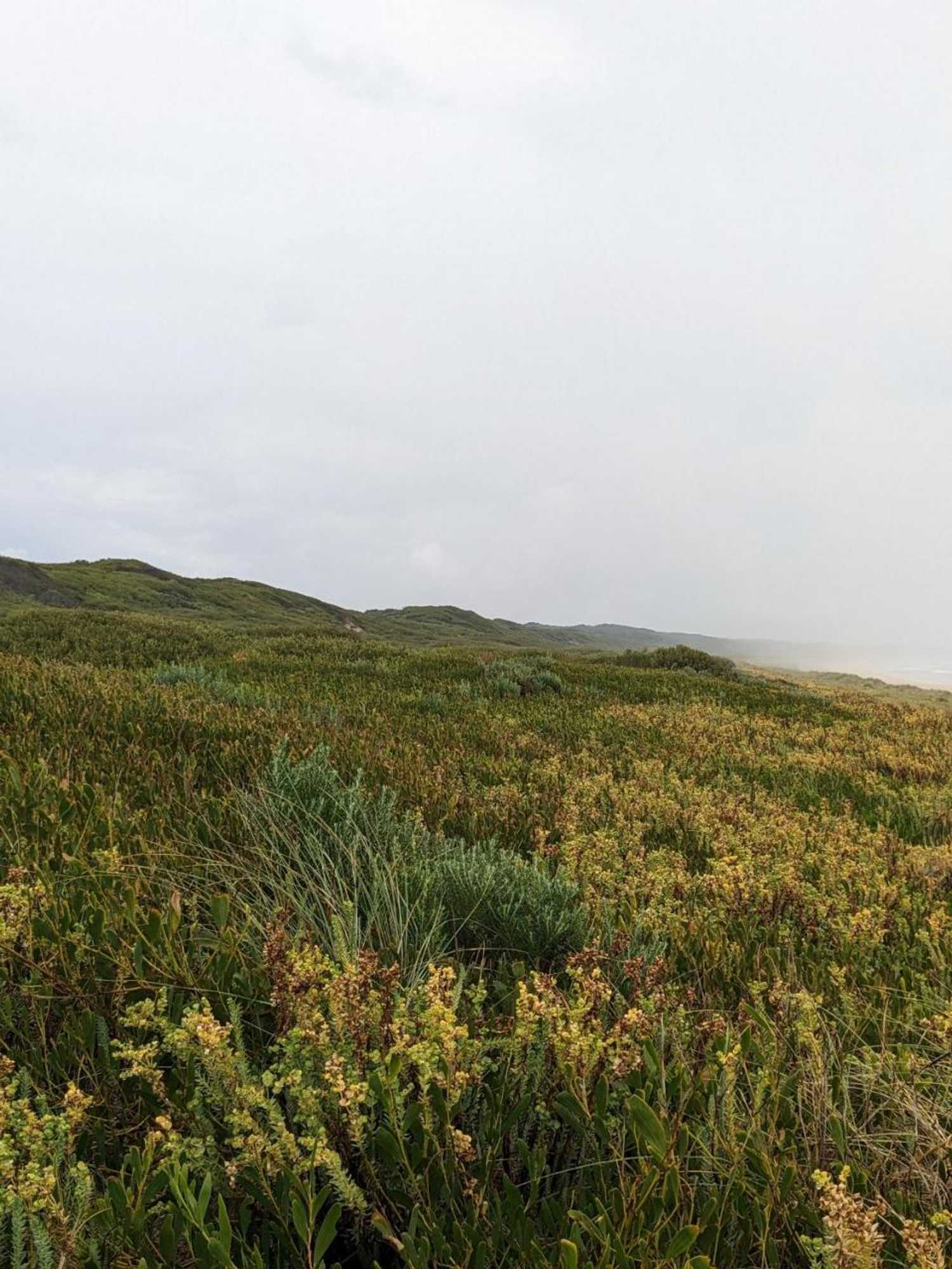 Gift card for River Drive Motel