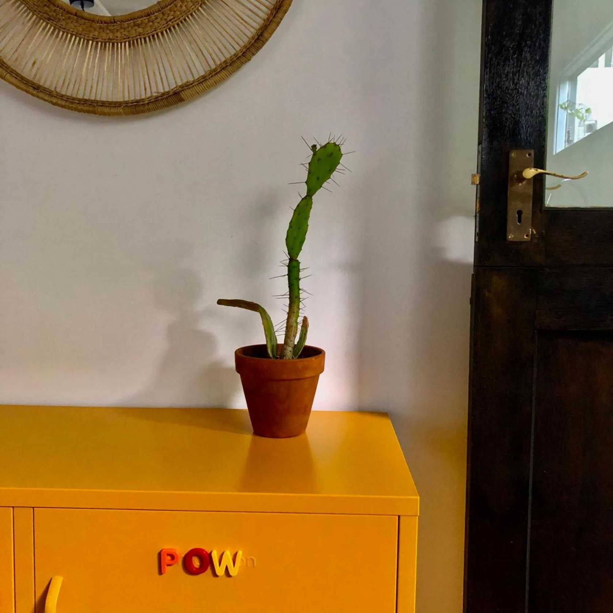 Gift card for Urban Plett