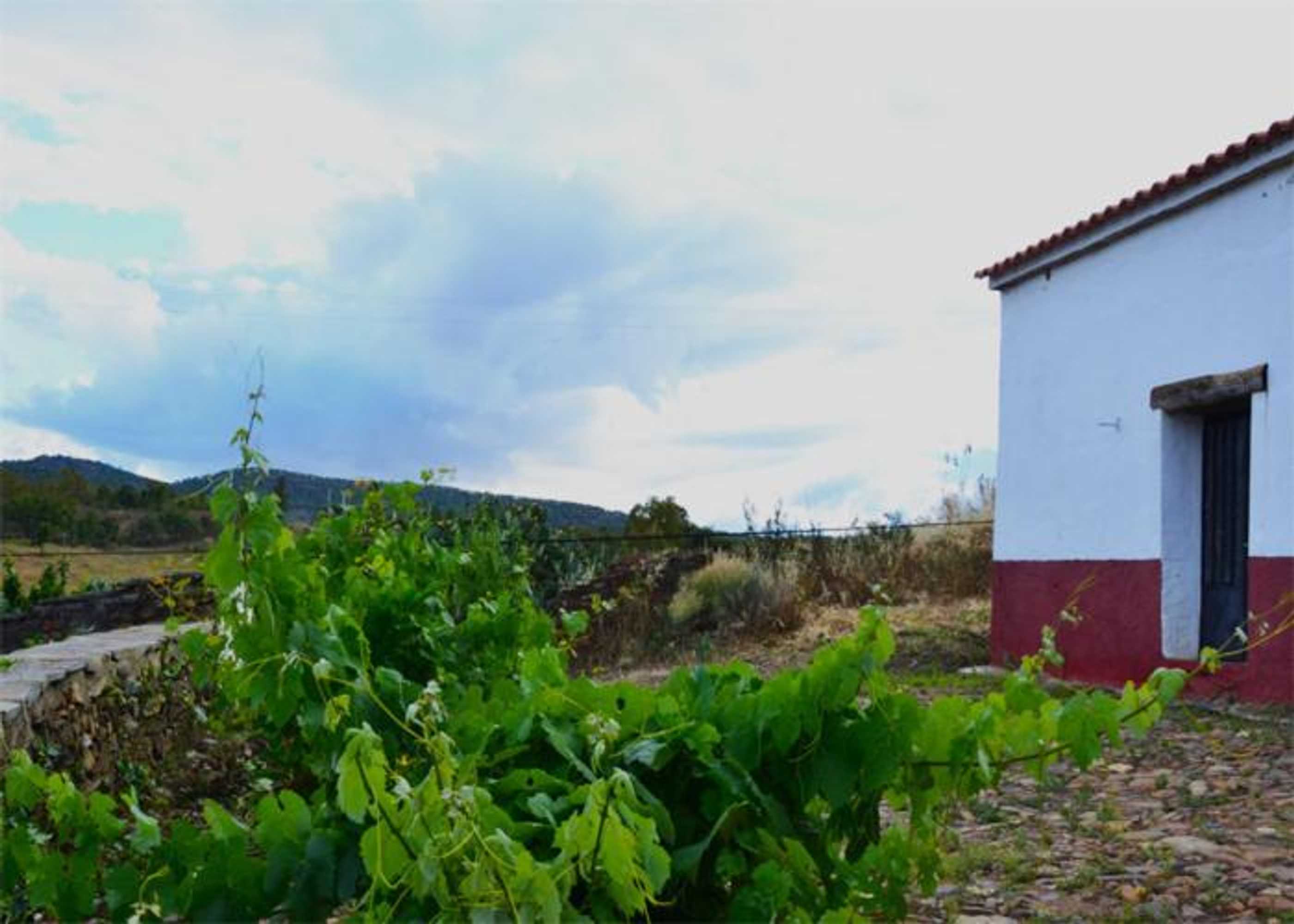 Gift card for Casa Rural El Abuelo Alonso