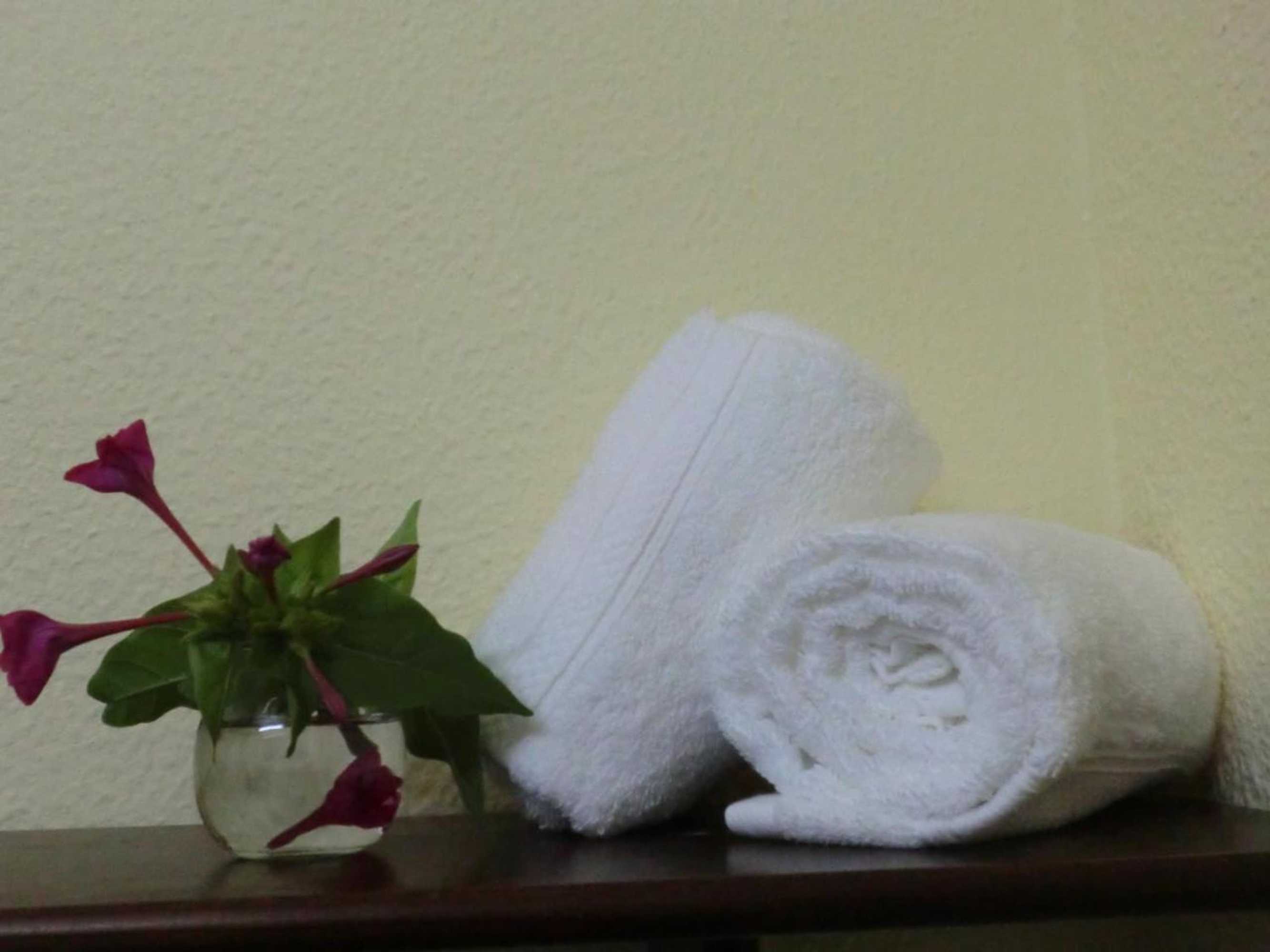 Gift card for Varandas de Alter Hotel & Spa Gift card for Varandas de Alter Hotel & Spa