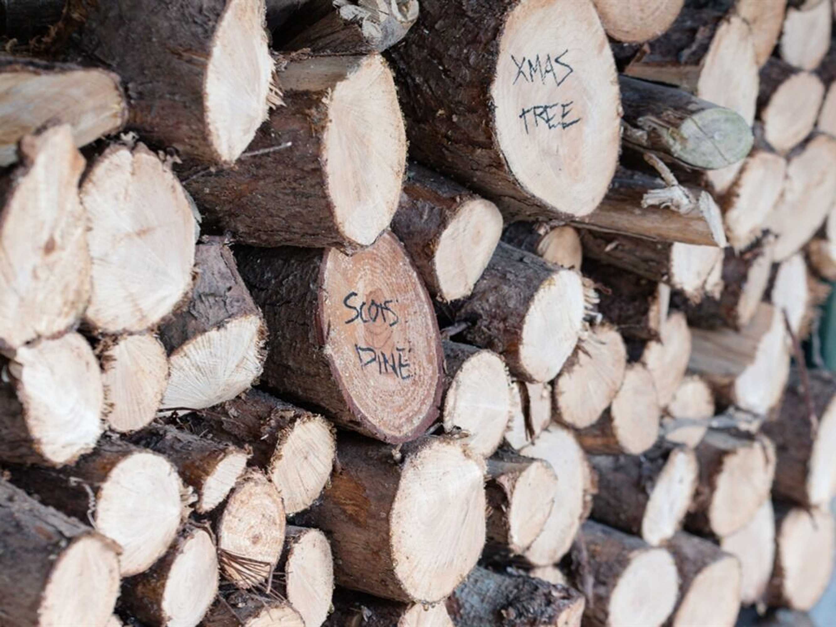 Gift card for The School House