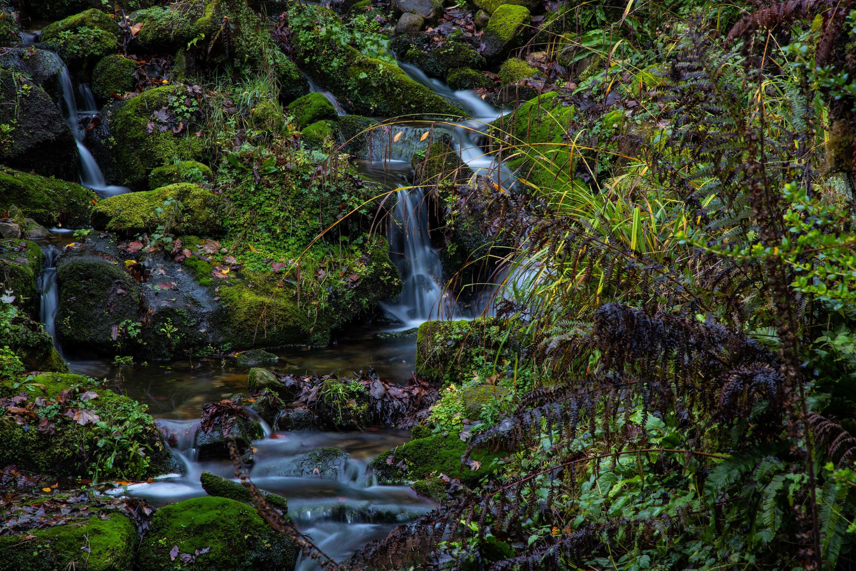 Gift card for Robin Hood Tower