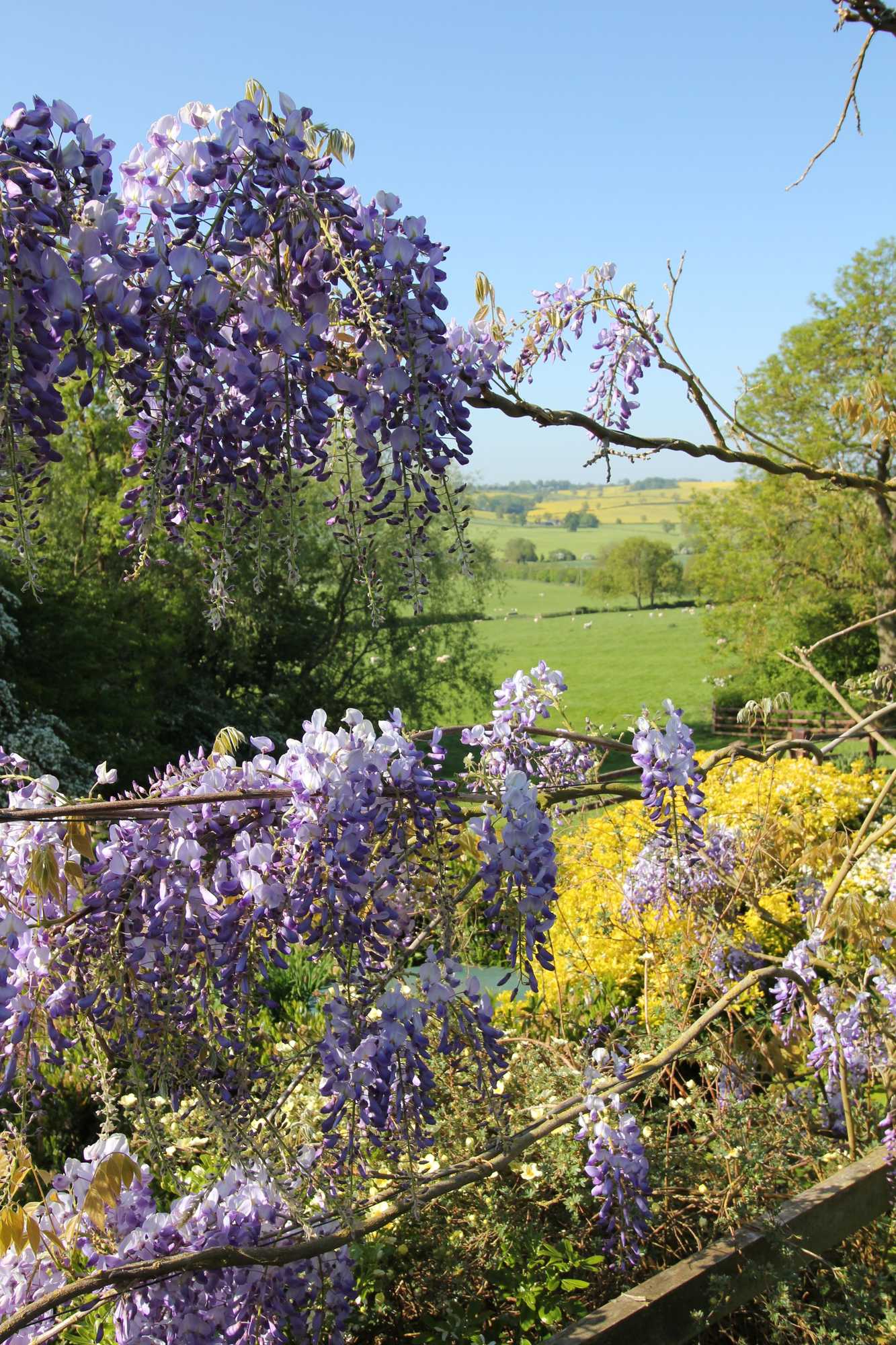 Gift card for Manton Lodge Farm