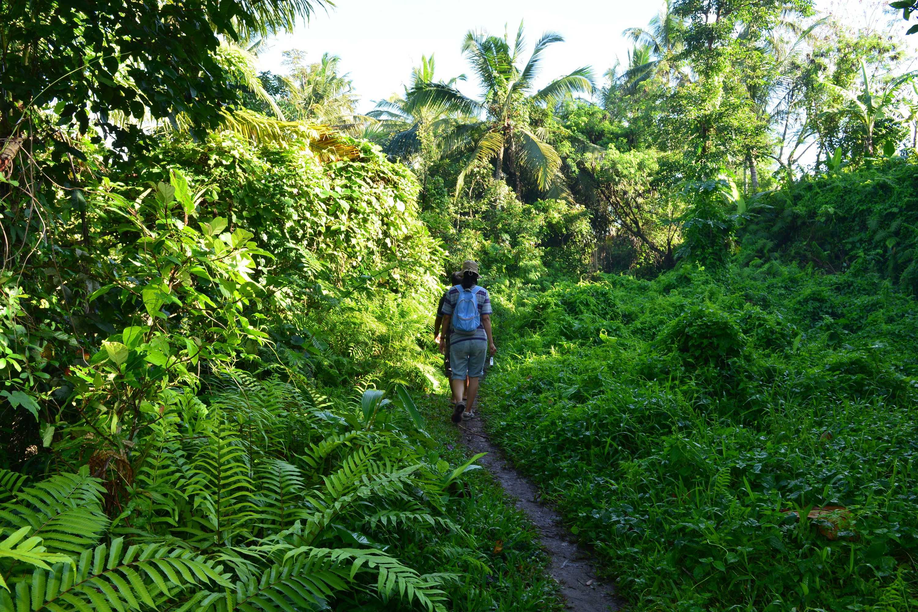 Gift card for Viceroy Bali Gift card for Viceroy Bali