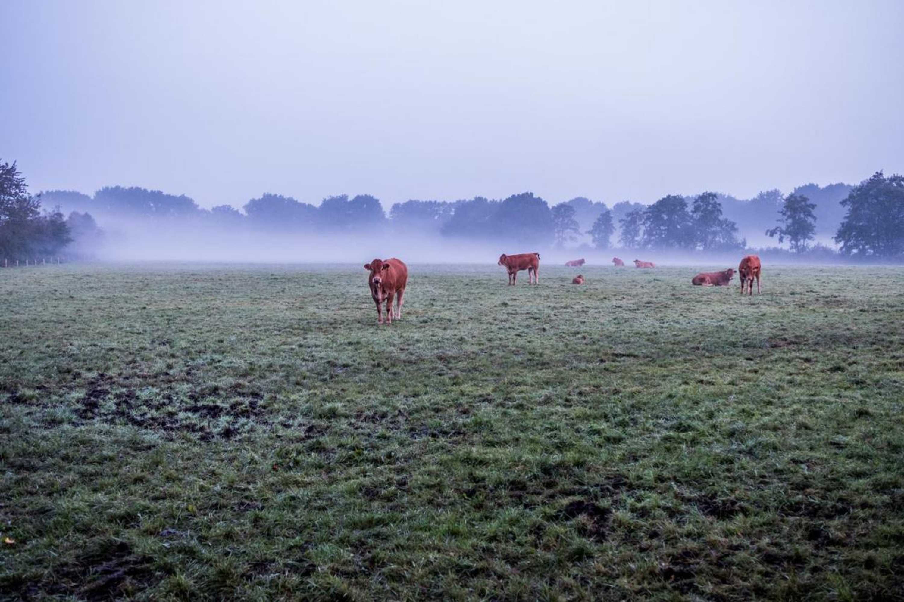 Gift card for Het Findament Tiny House