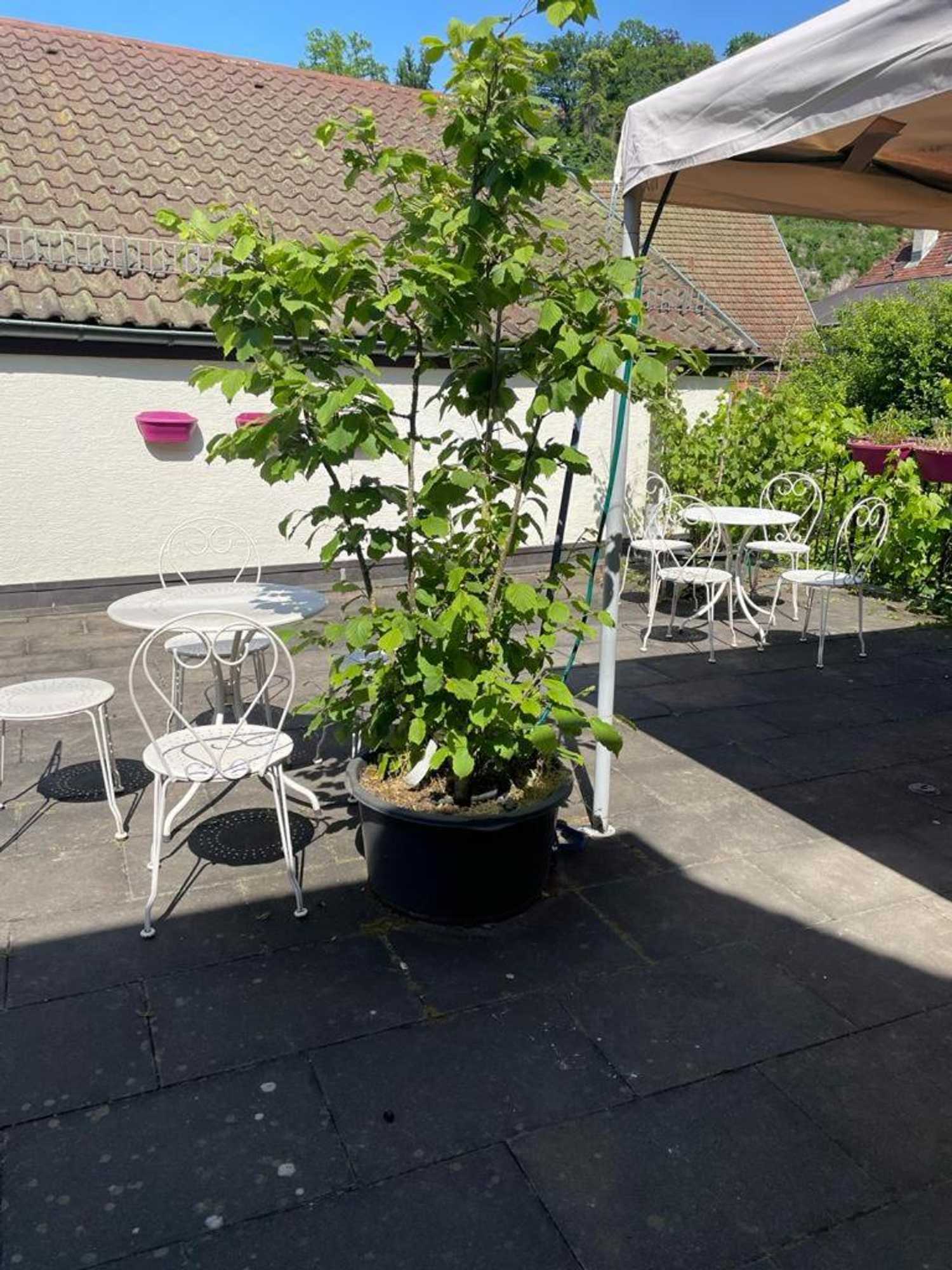 Gift card for Ferienwohnungen Calwer Höfle - Für Firmen, Handwerker Und Monteure