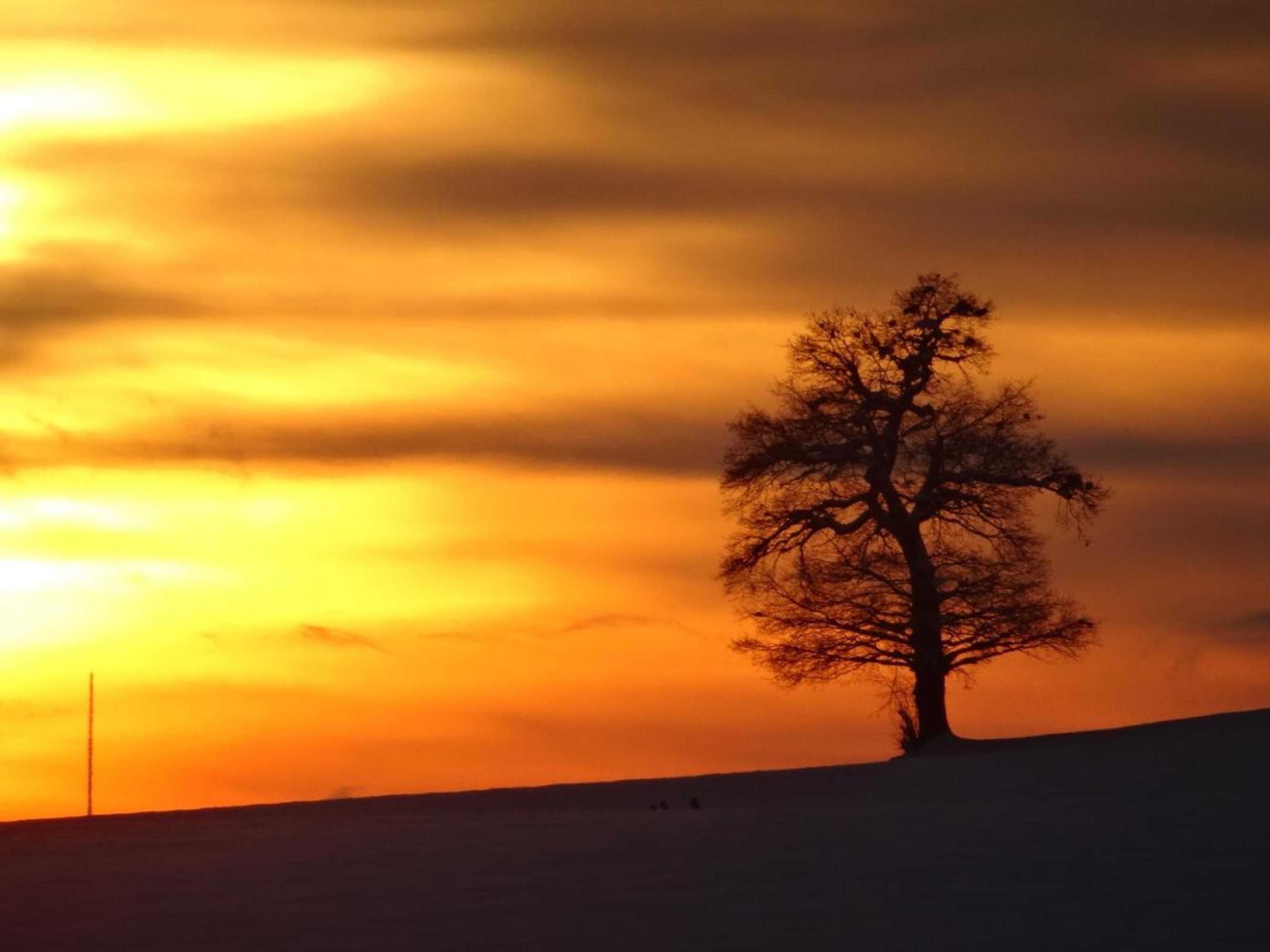 Gift card for Gemeinschaftshaus im Oberdorf