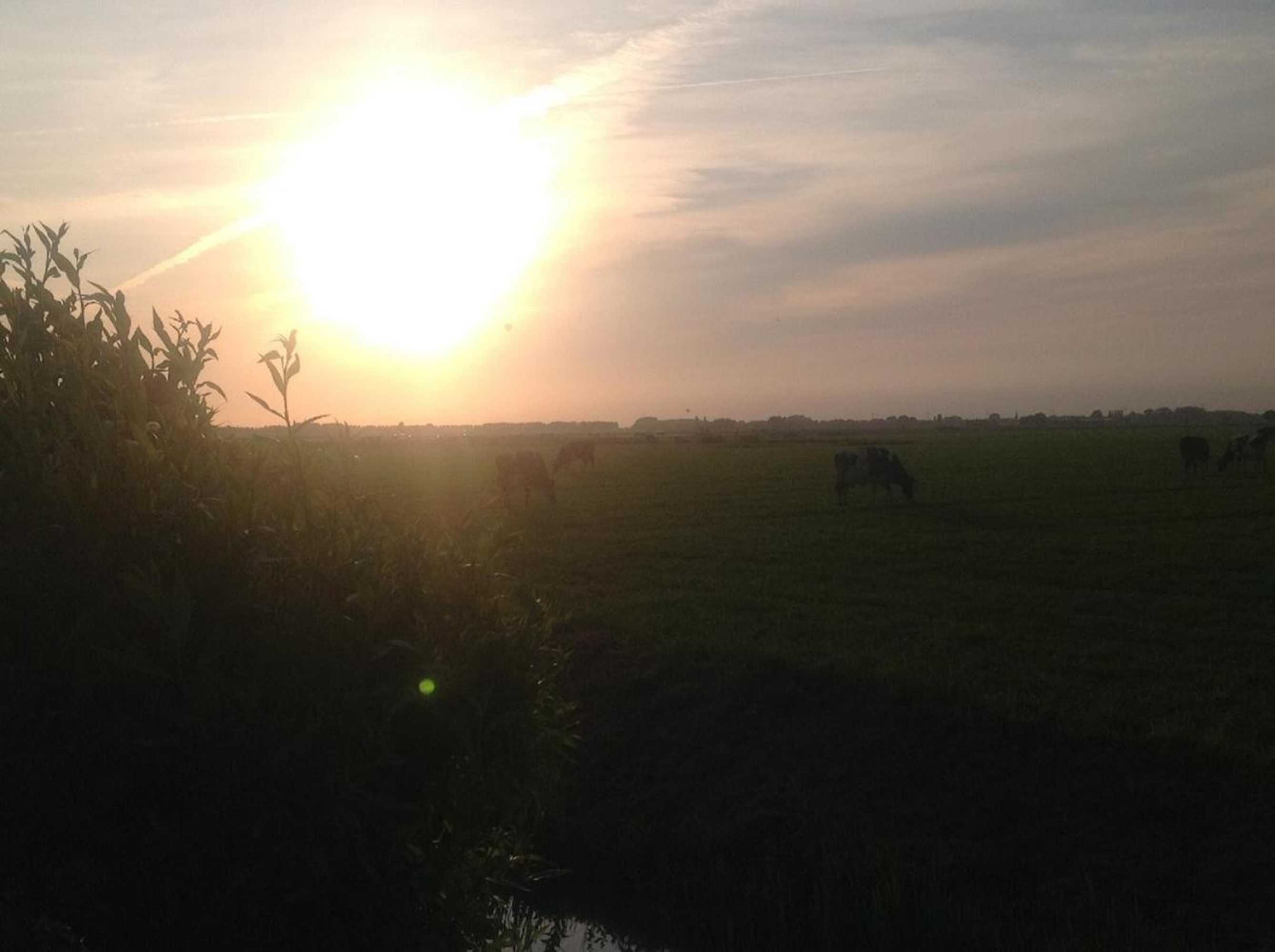 Gift card for B&b Ben in Broek