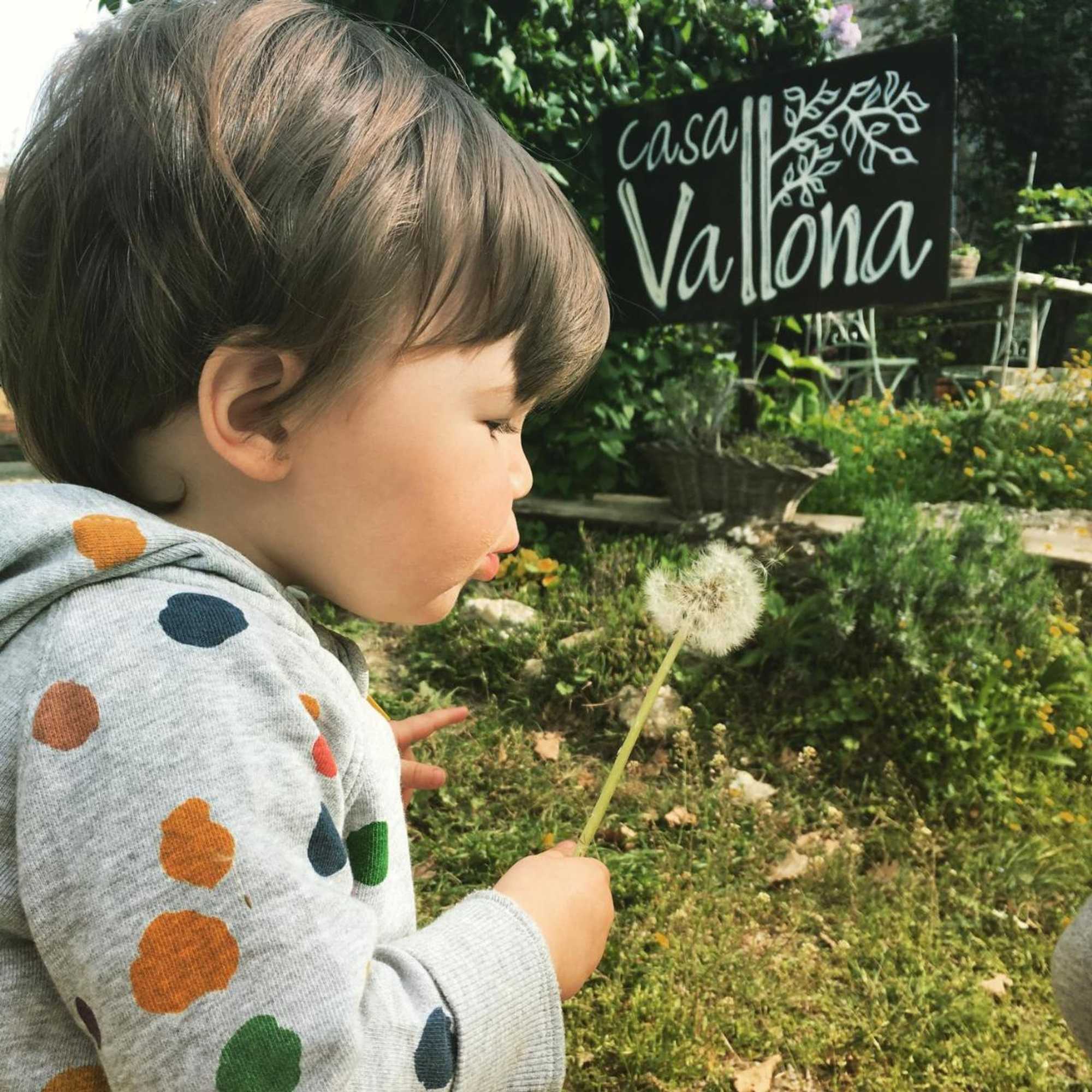 Gift card for B&b Agriturismo Casa Vallona