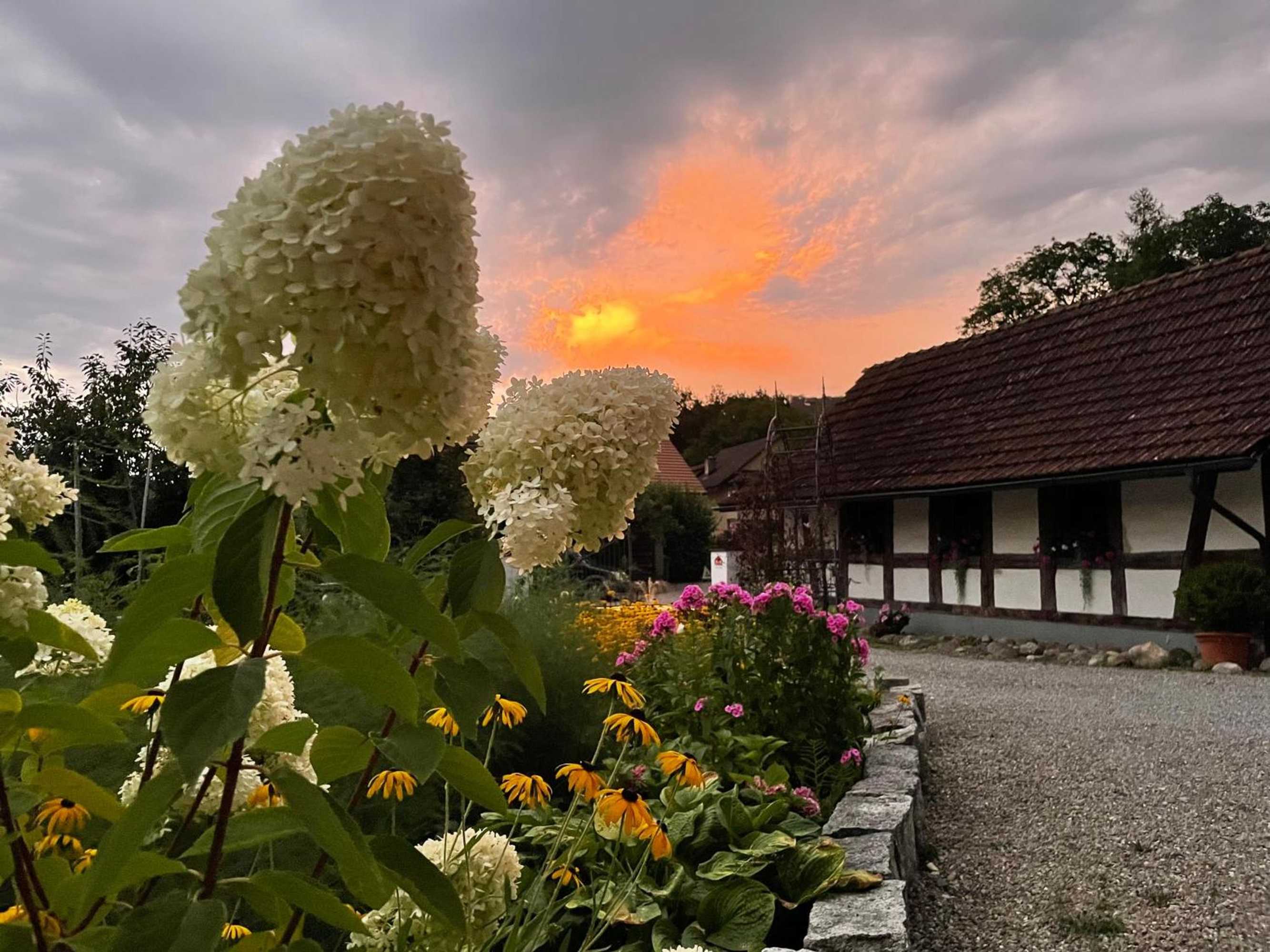 Gift card for B&b Siglistorf