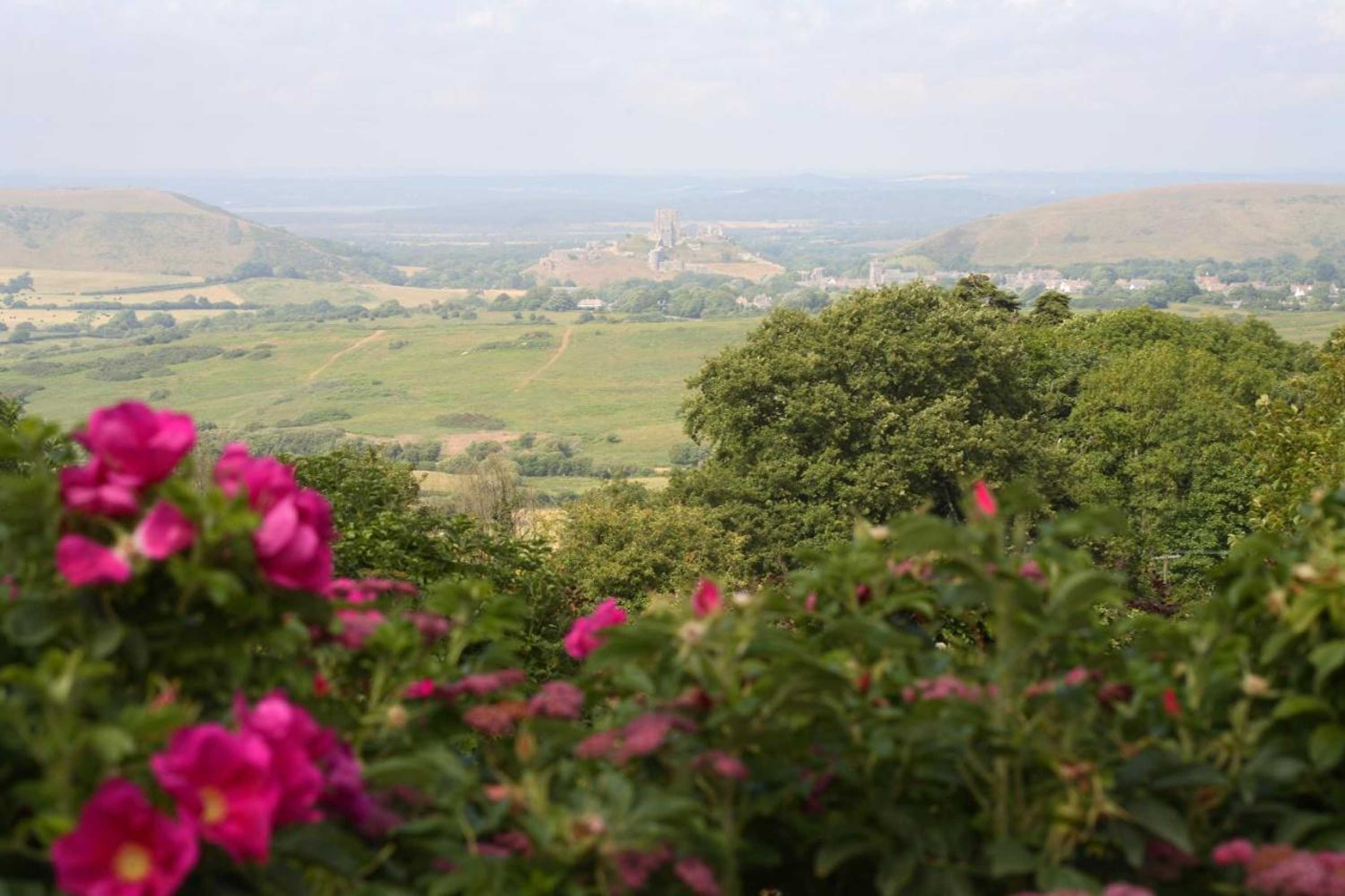 Gift card for The Scott Arms