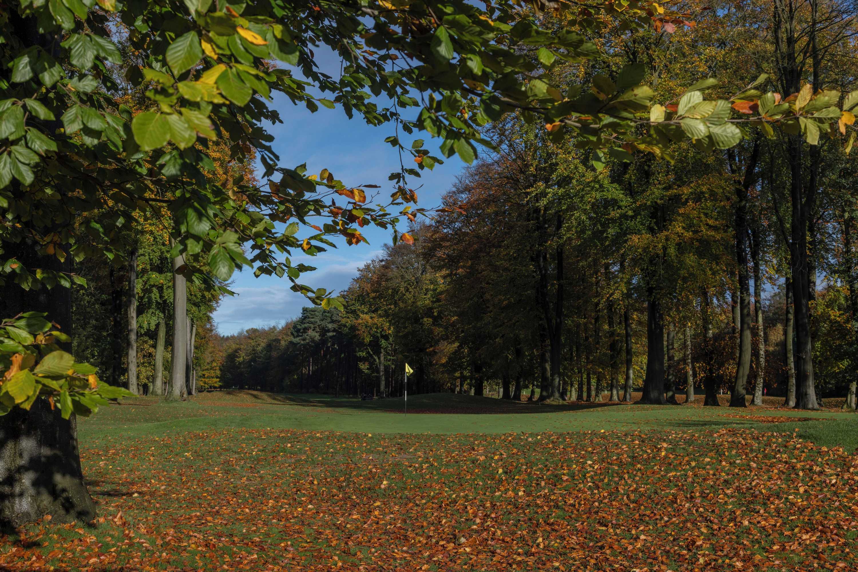 Gift card for Forest Pines Hotel, Spa & Golf Resort