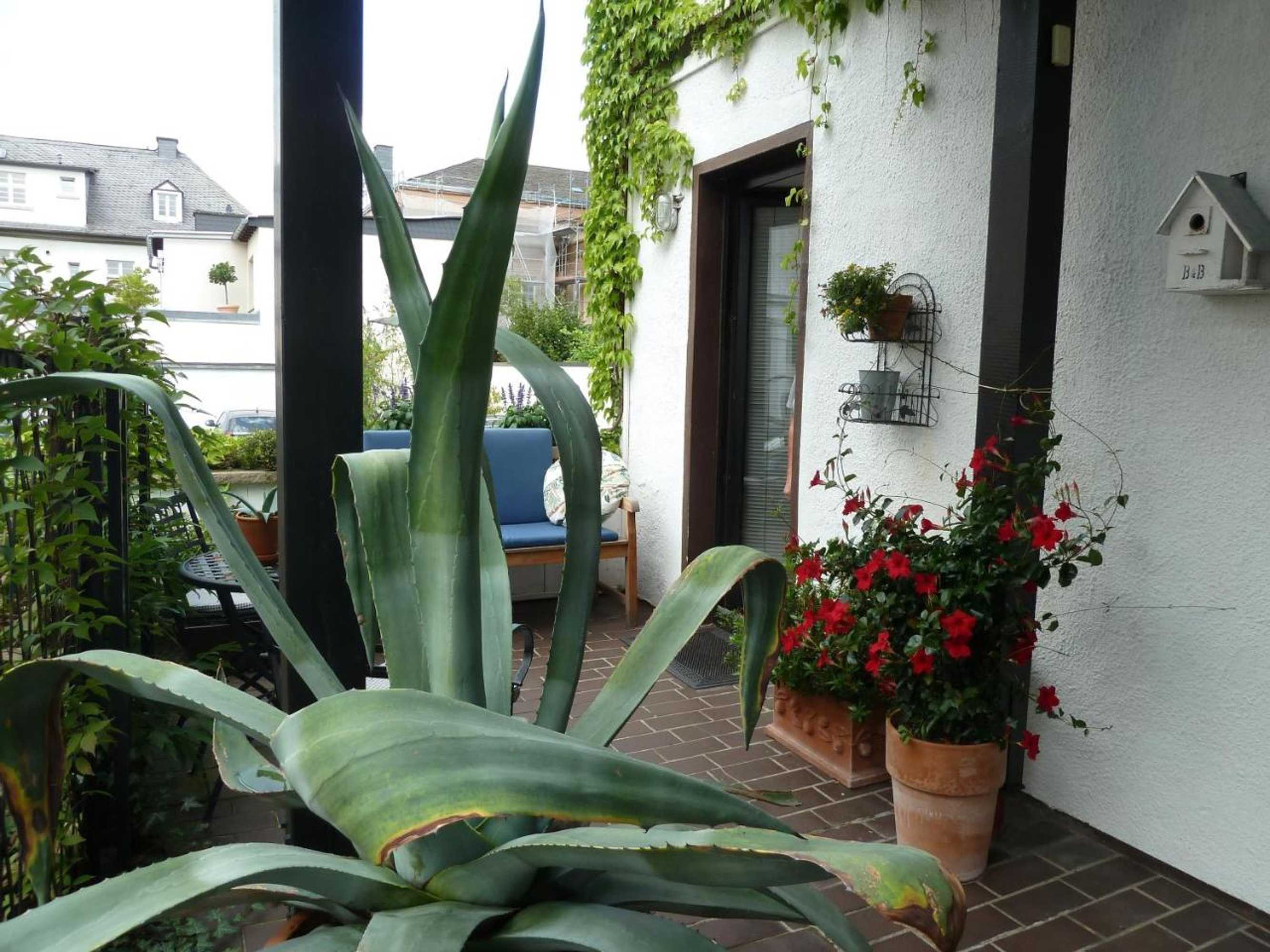 Gift card for Ferienwohnung Dora Brand