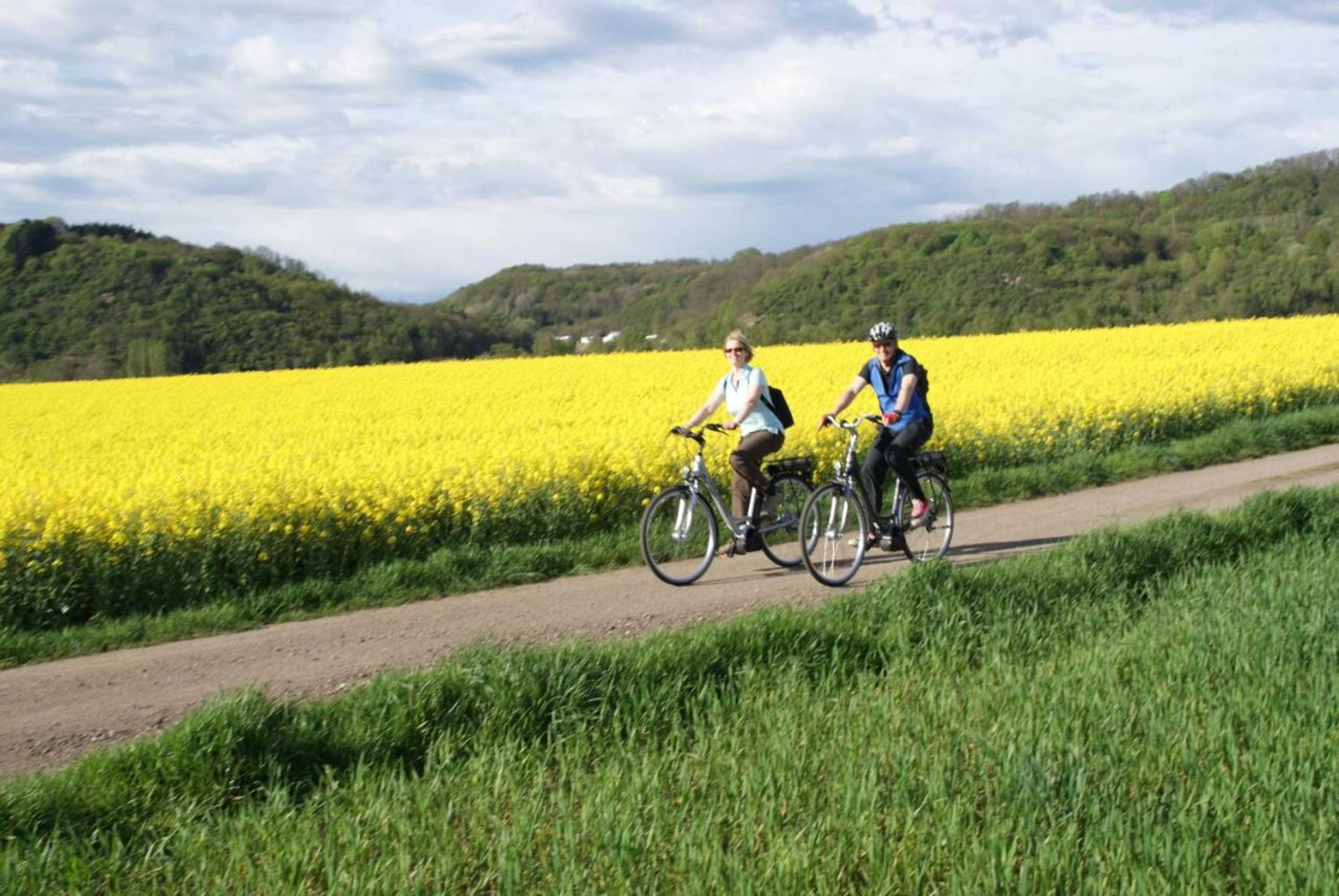 Gift card for Hotel Pinger