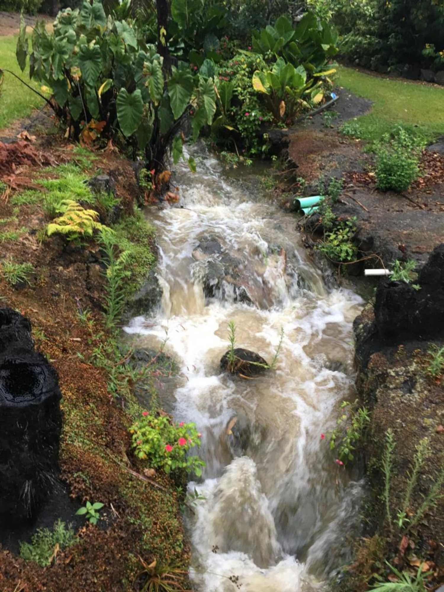 Gift card for Kerikeri Garden Homestead Gift card for Kerikeri Garden Homestead