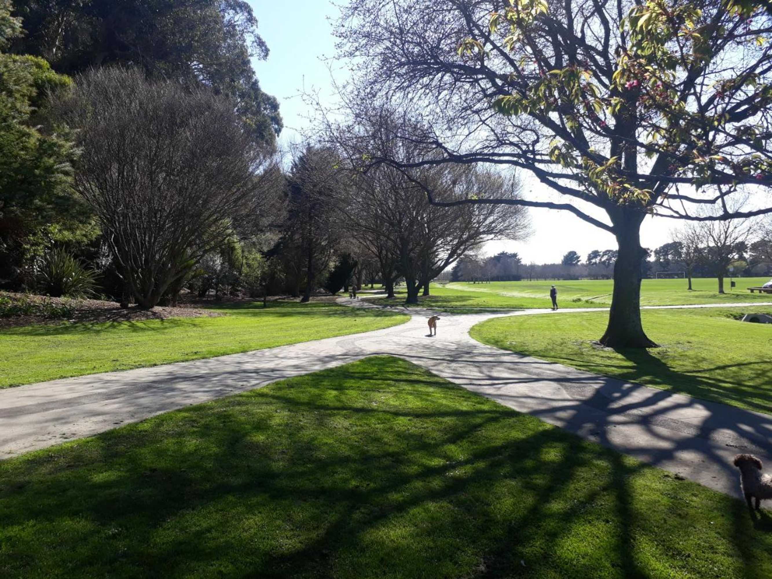 Gift card for Hidden Gem in Oaklands