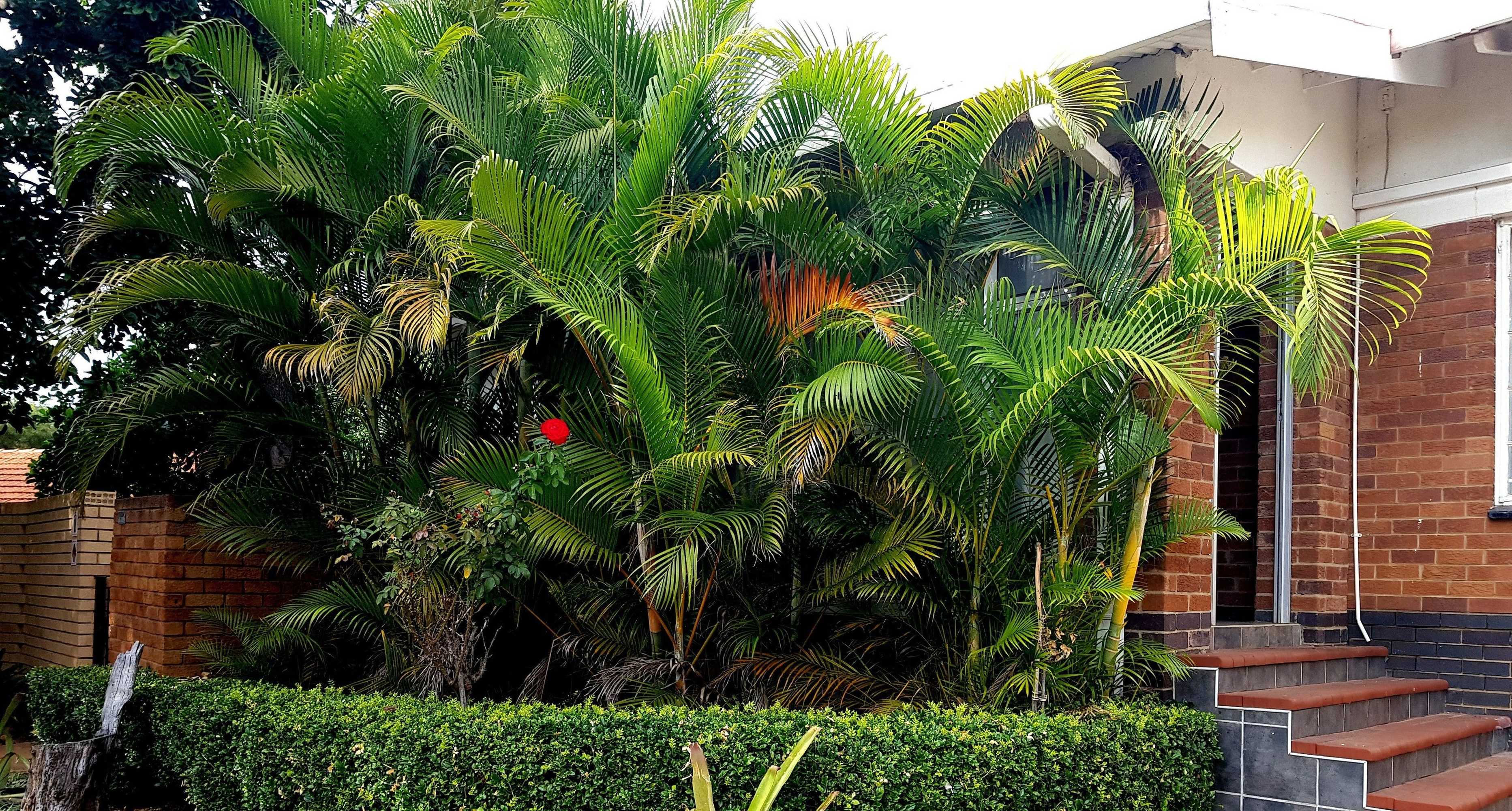 Gift card for Boschdal Guesthouse