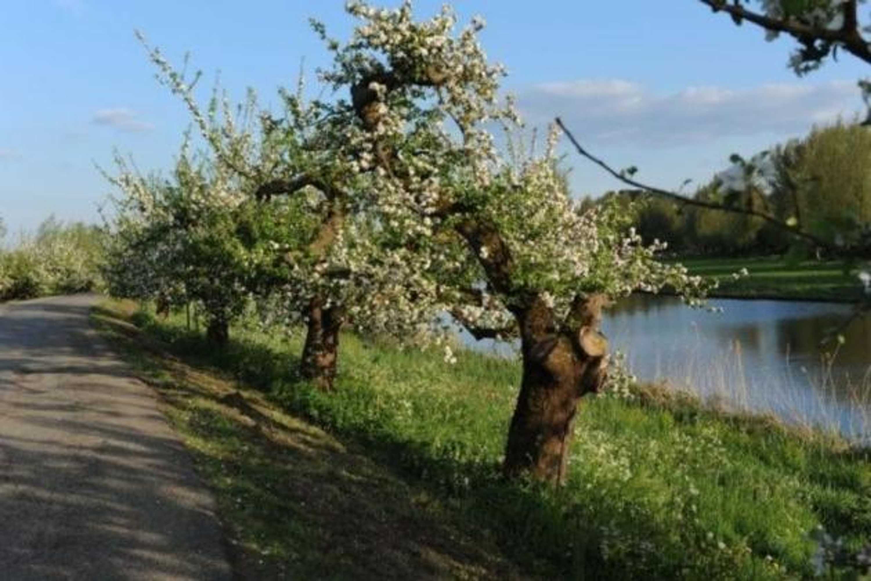 Gift card for Bed & Breakfast de Neust