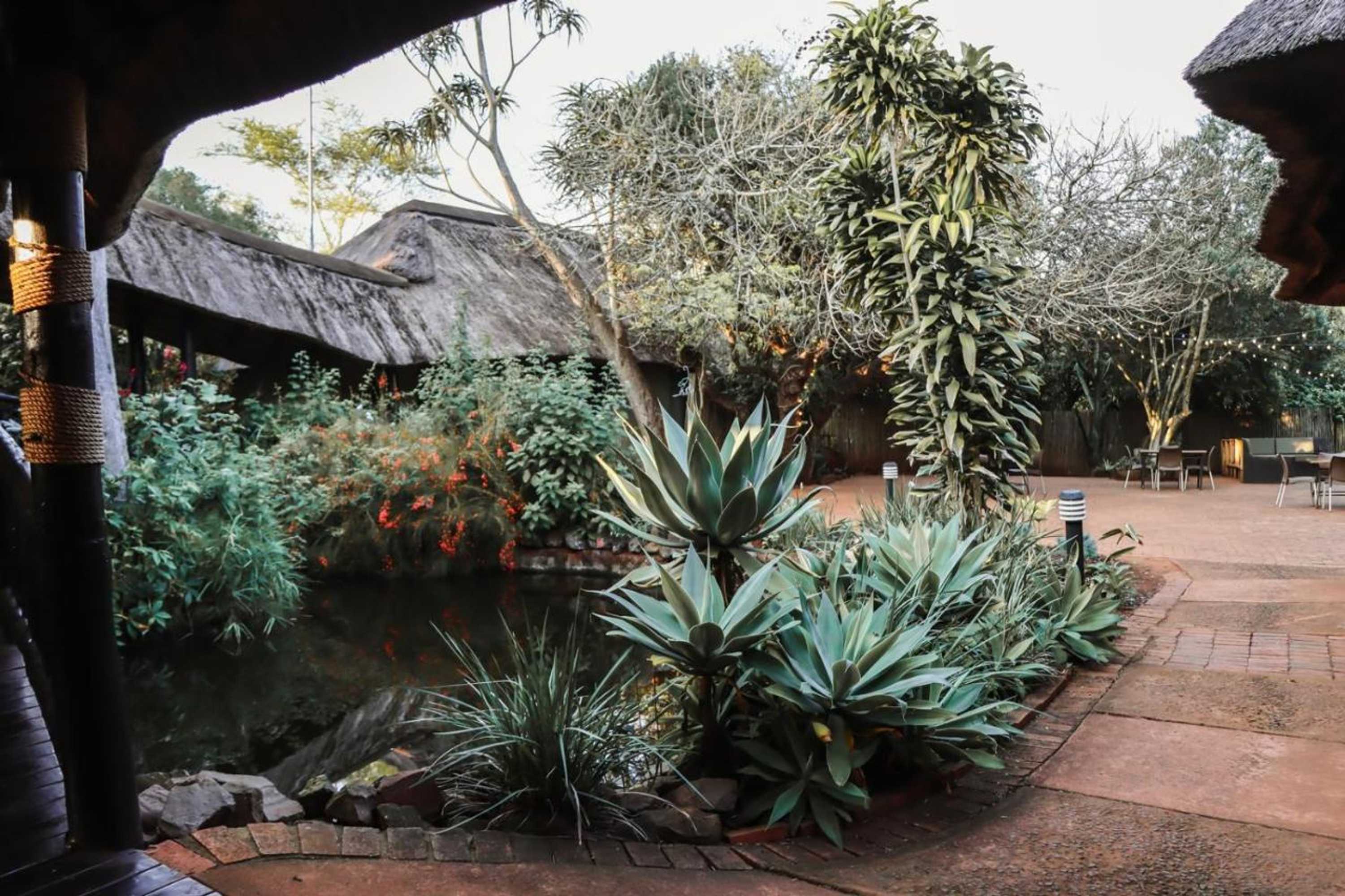 Gift card for Ubizane Zululand Tree Lodge